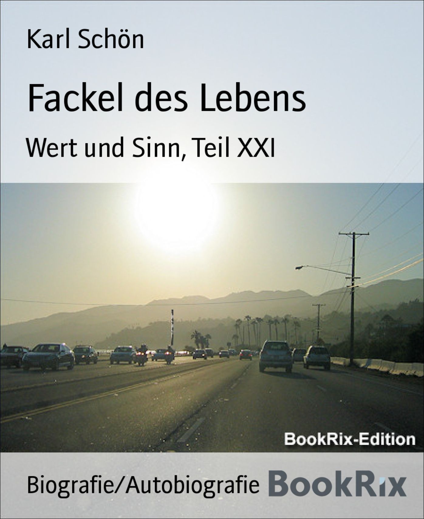 Fackel des Lebens: Wert und Sinn, Teil XXI