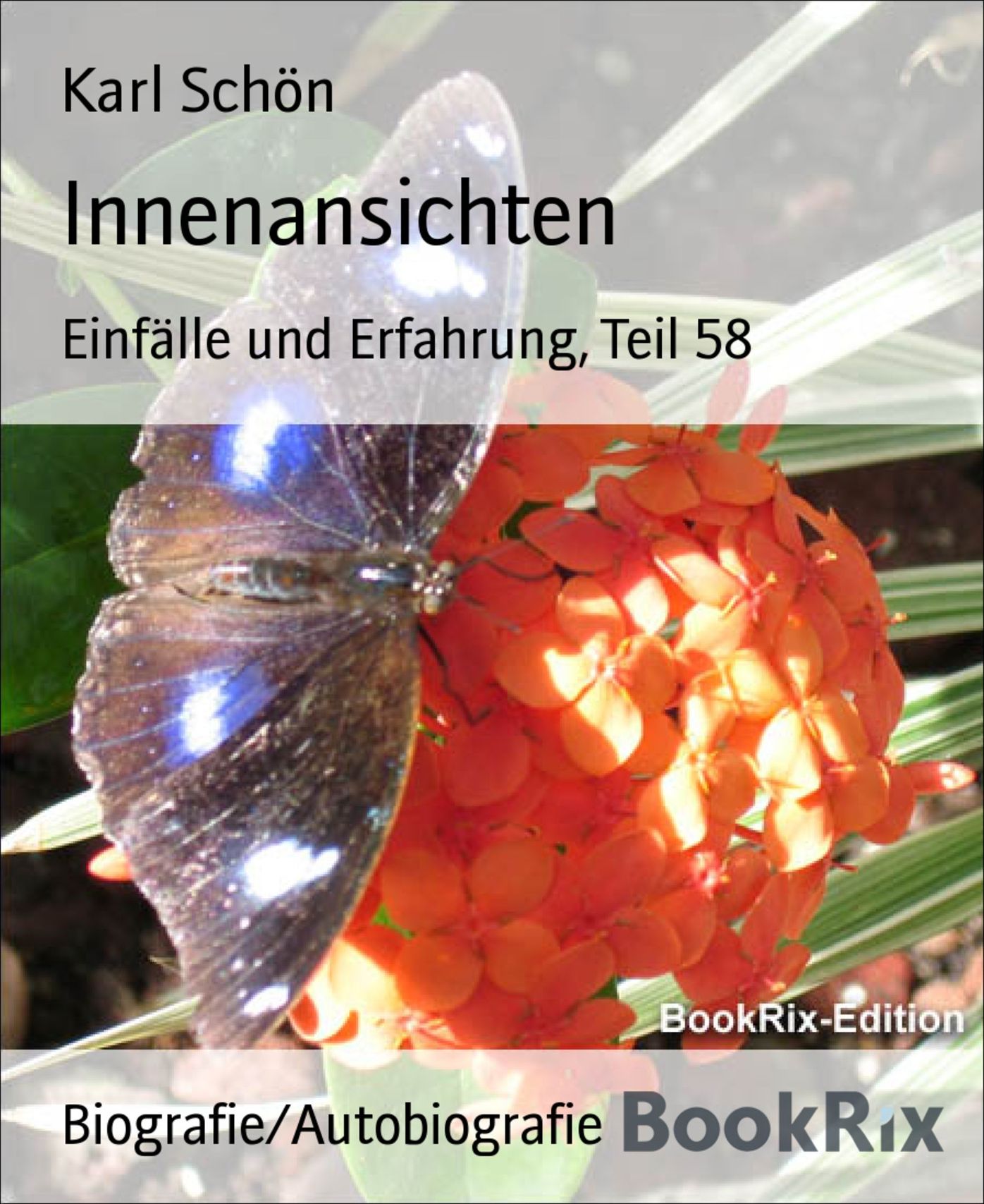 Innenansichten: Einfälle und Erfahrung, Teil 58