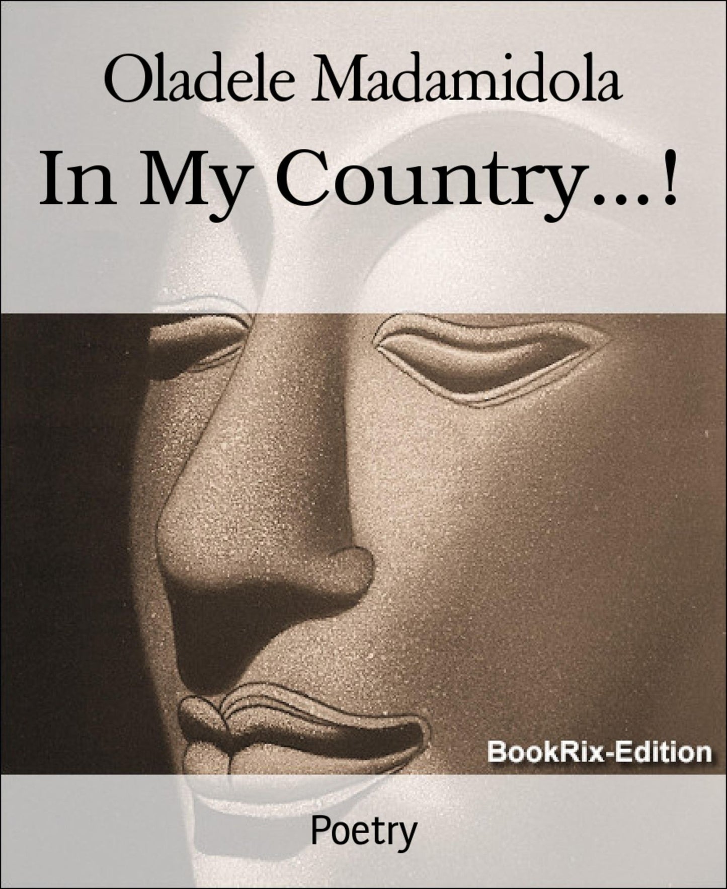 In My Country...!: ...Redefining Poetry