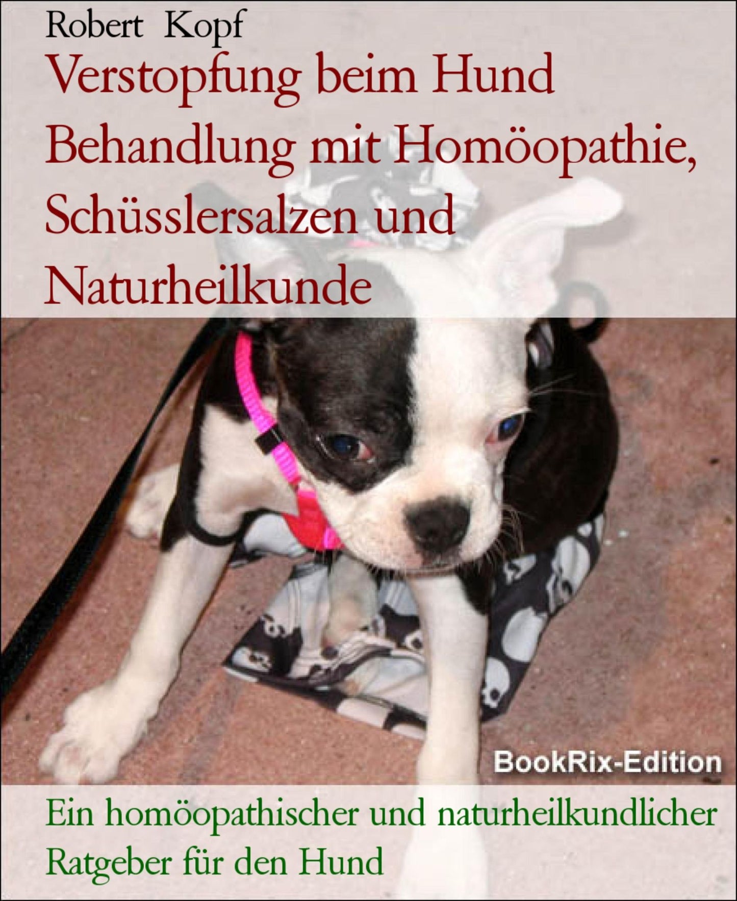 Verstopfung beim Hund Obstipation behandeln mit Homöopathie, Schüsslersalzen (Biochemie) und Naturheilkunde: Ein homöopathischer, biochemischer und naturheilkundlicher Ratgeber für den Hund