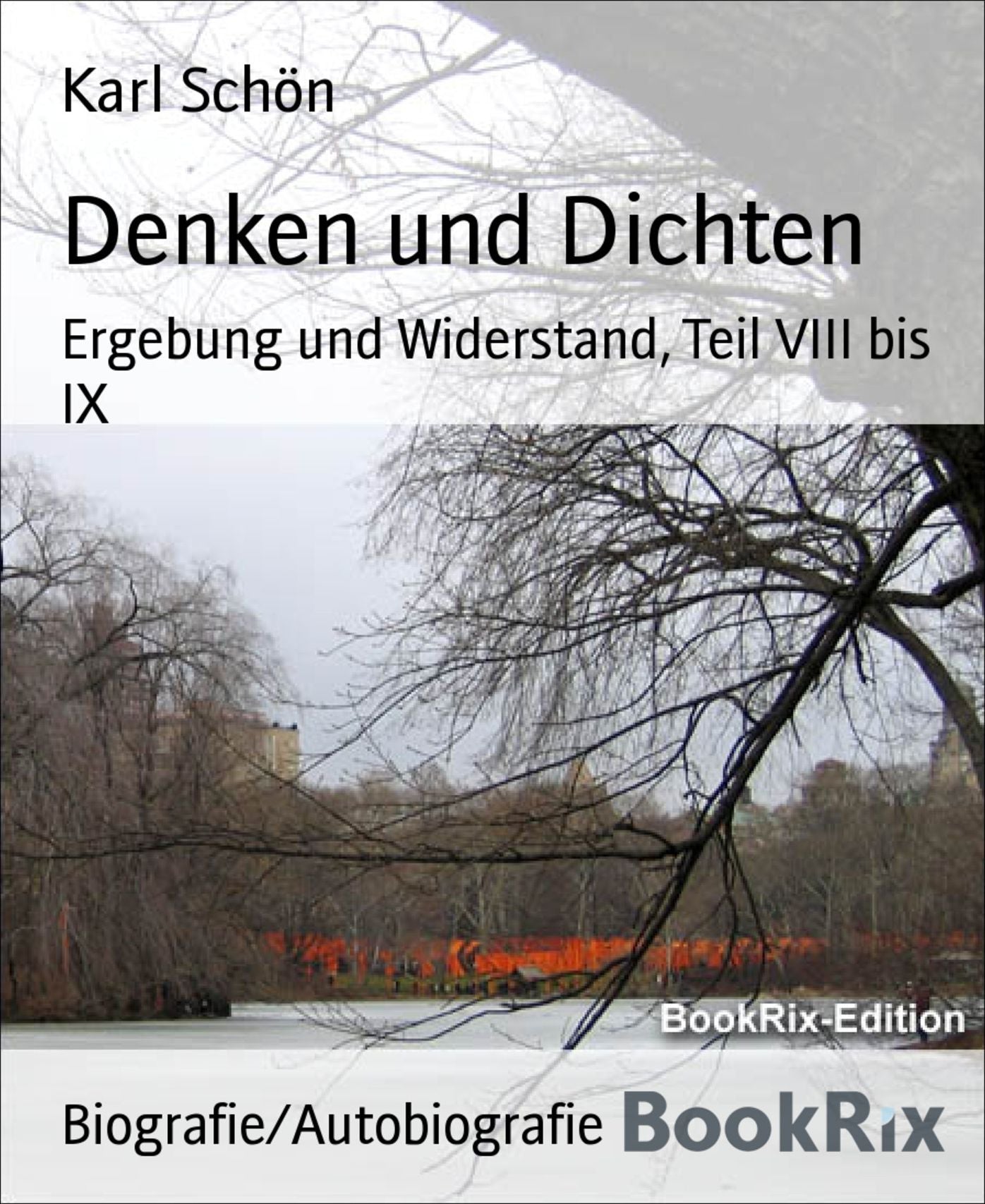 Denken und Dichten: Ergebung und Widerstand, Teil VIII bis IX