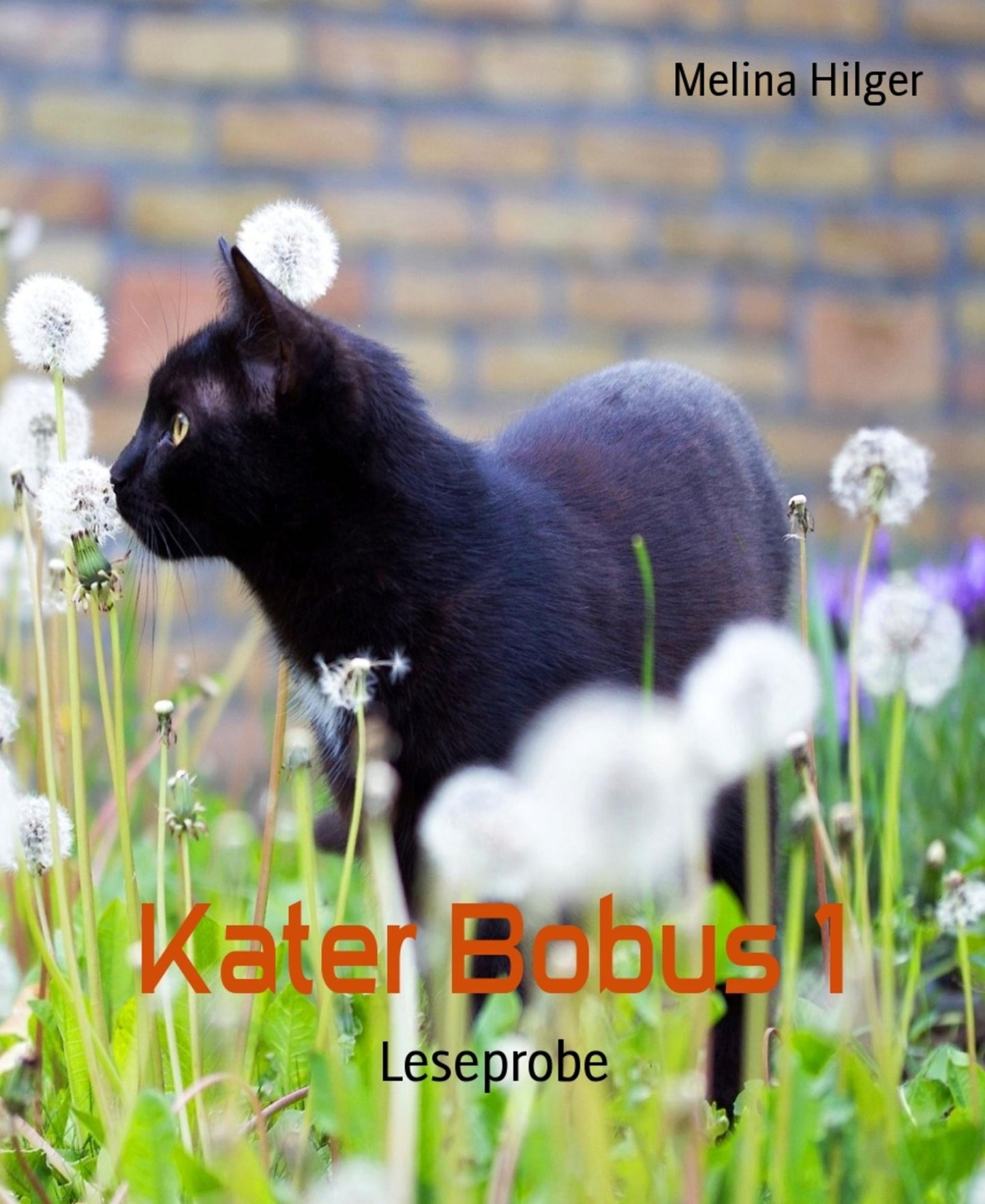 Kater Bobus 1: Leseprobe