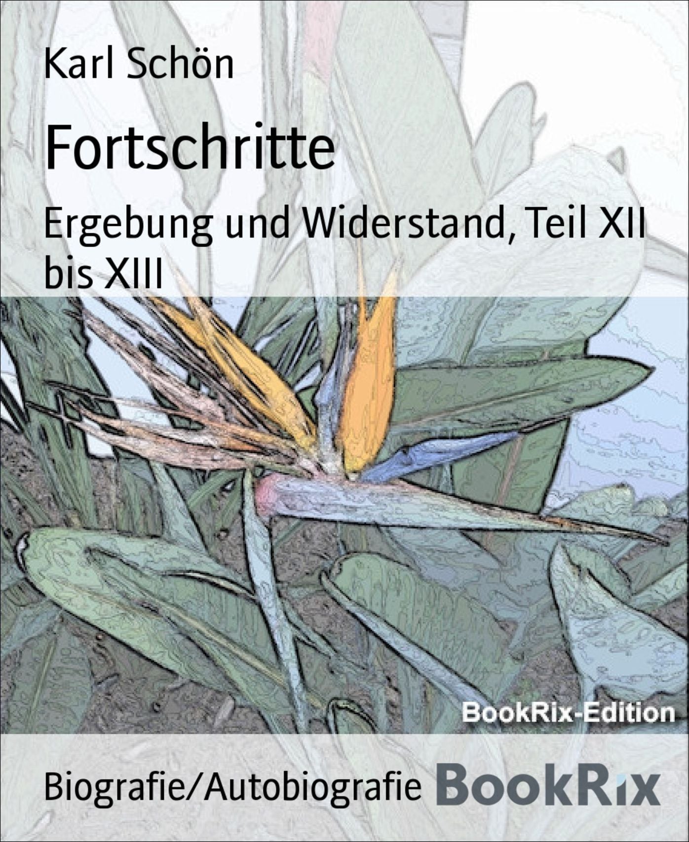 Fortschritte: Ergebung und Widerstand, Teil XII bis XIII
