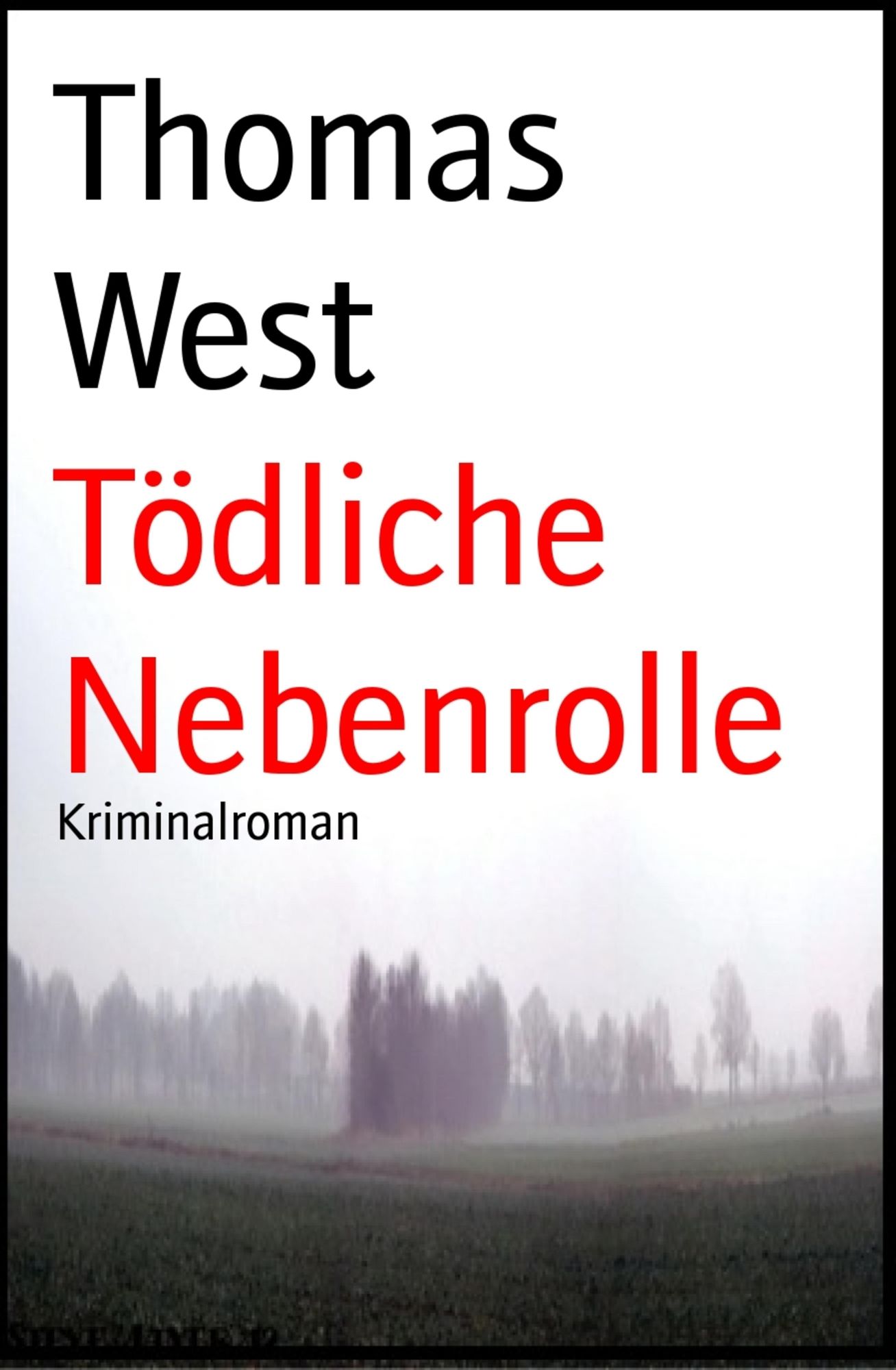 Tödliche Nebenrolle: Kriminalroman