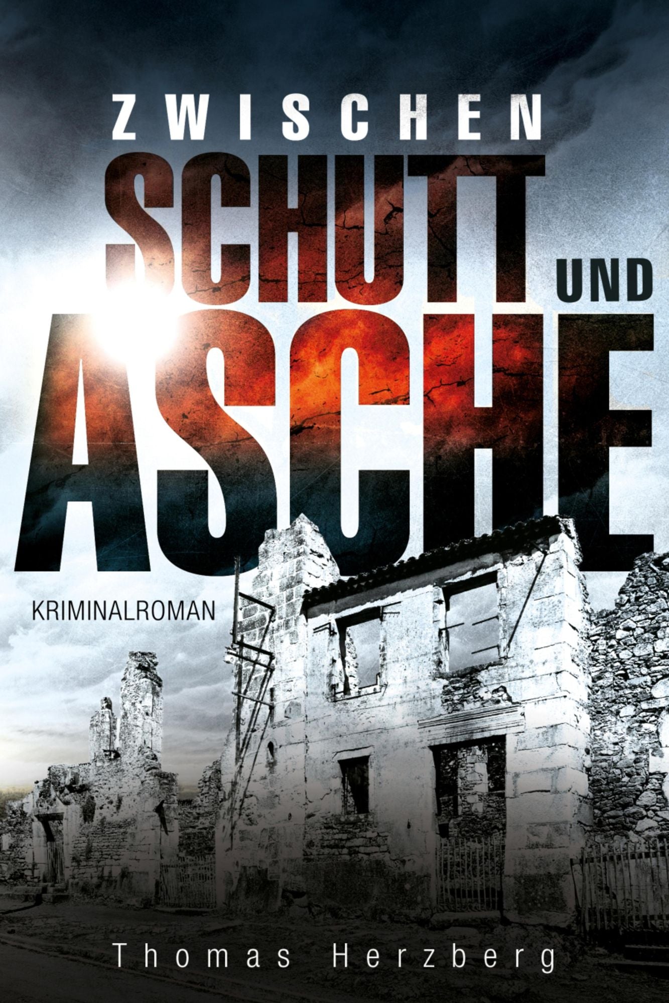 Zwischen Schutt und Asche: Kriminalroman