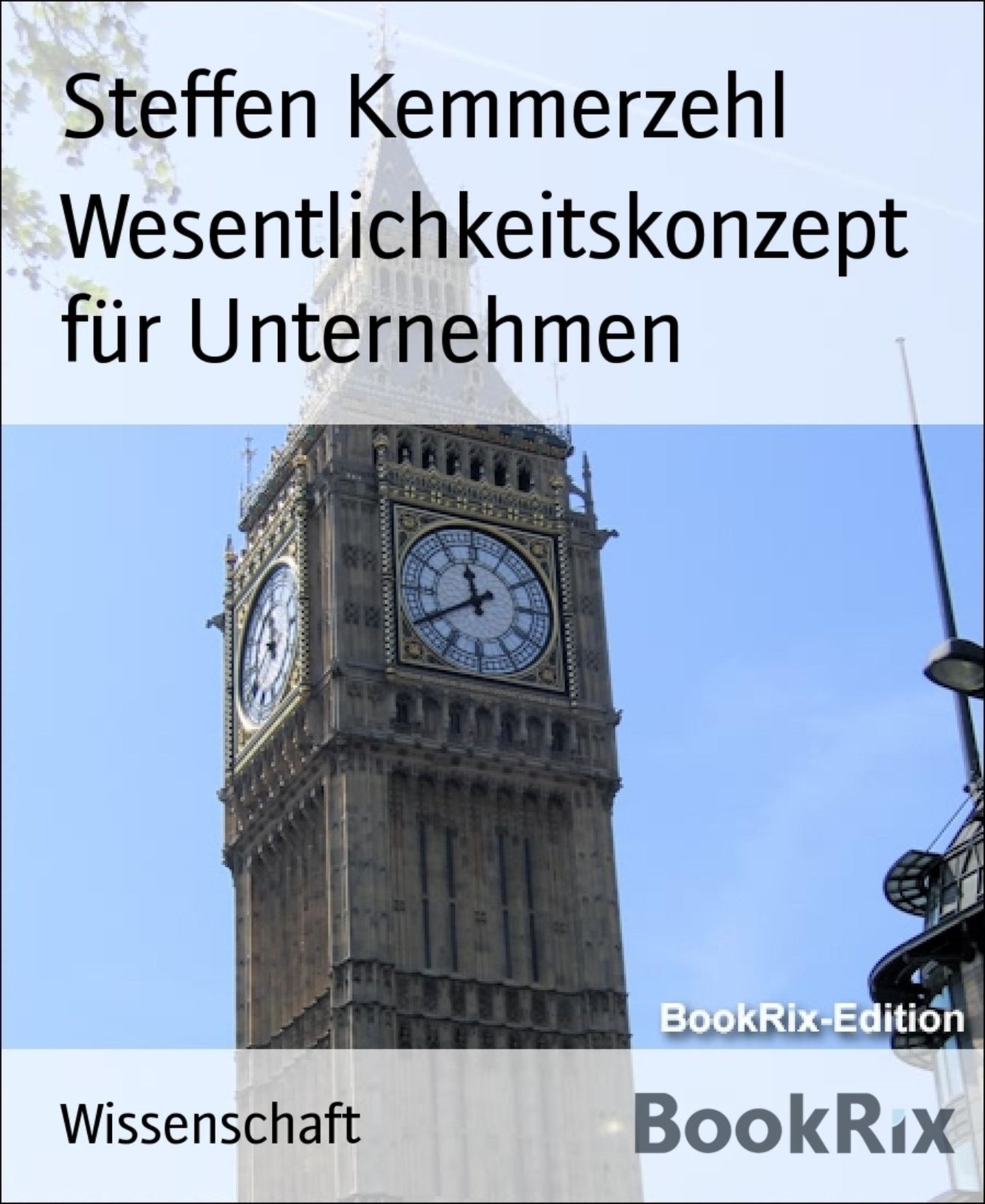 Wesentlichkeitskonzept für Unternehmen: Die Implementierung eines Wesentlicheitskonzepts für Unternehmen am Bsp. des Timings der Buchung