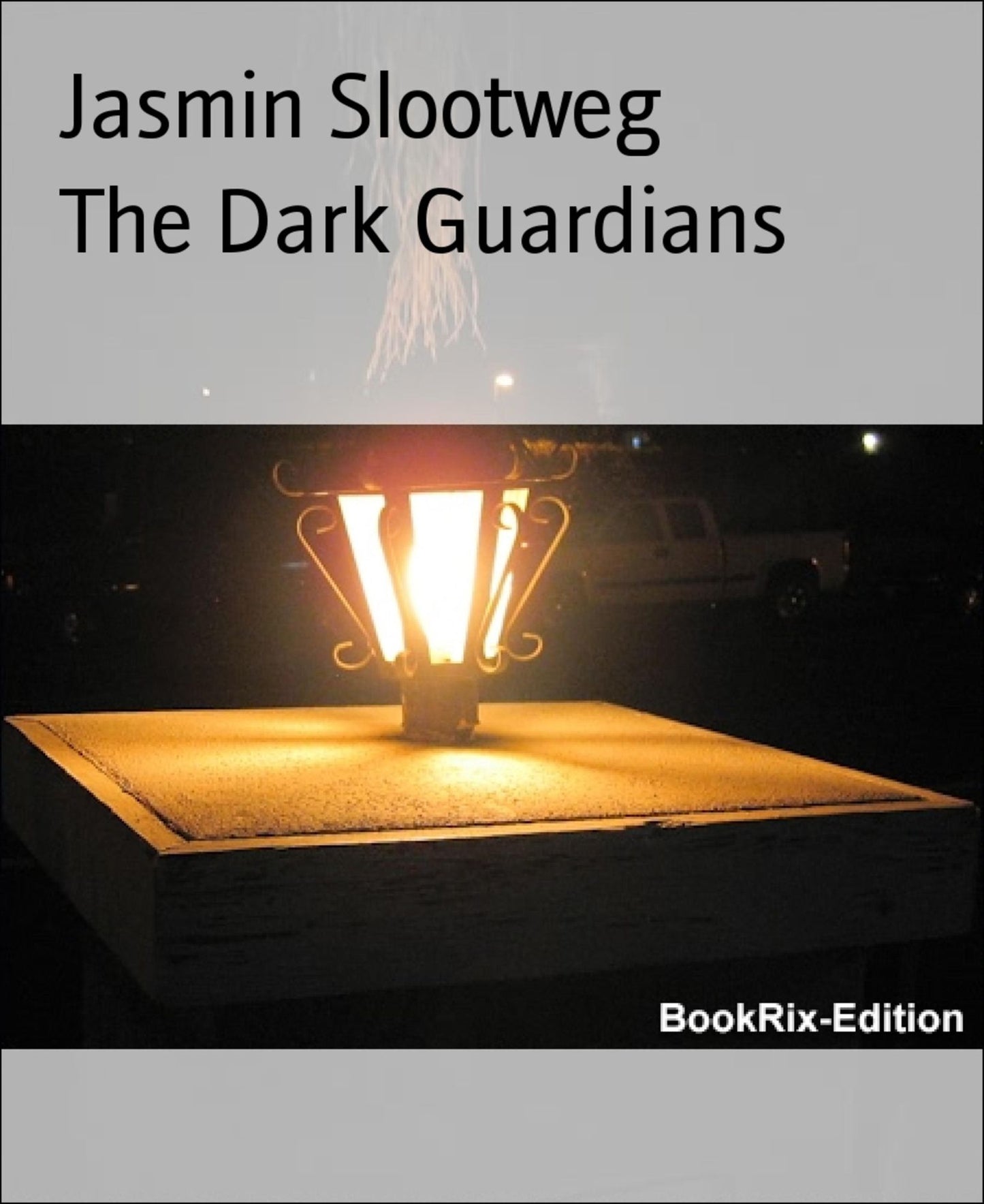 The Dark Guardians: A world full of terror and power