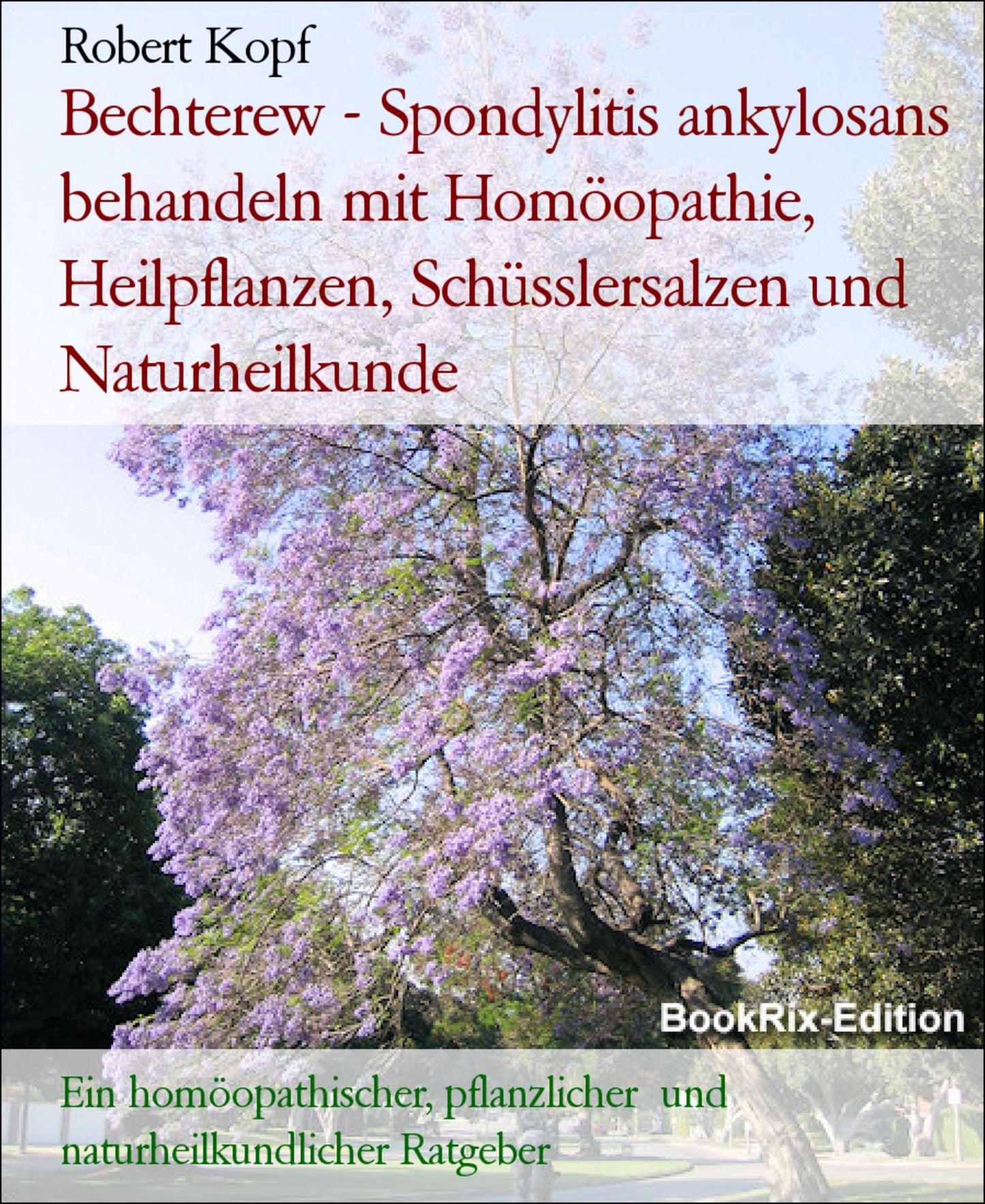 Bechterew - Spondylitis ankylosans behandeln mit Homöopathie, Pflanzenheilkunde, Schüsslersalzen und Naturheilkunde: Ein homöopathischer, pflanzlicher, biochemischer und naturheilkundlicher Ratgeber