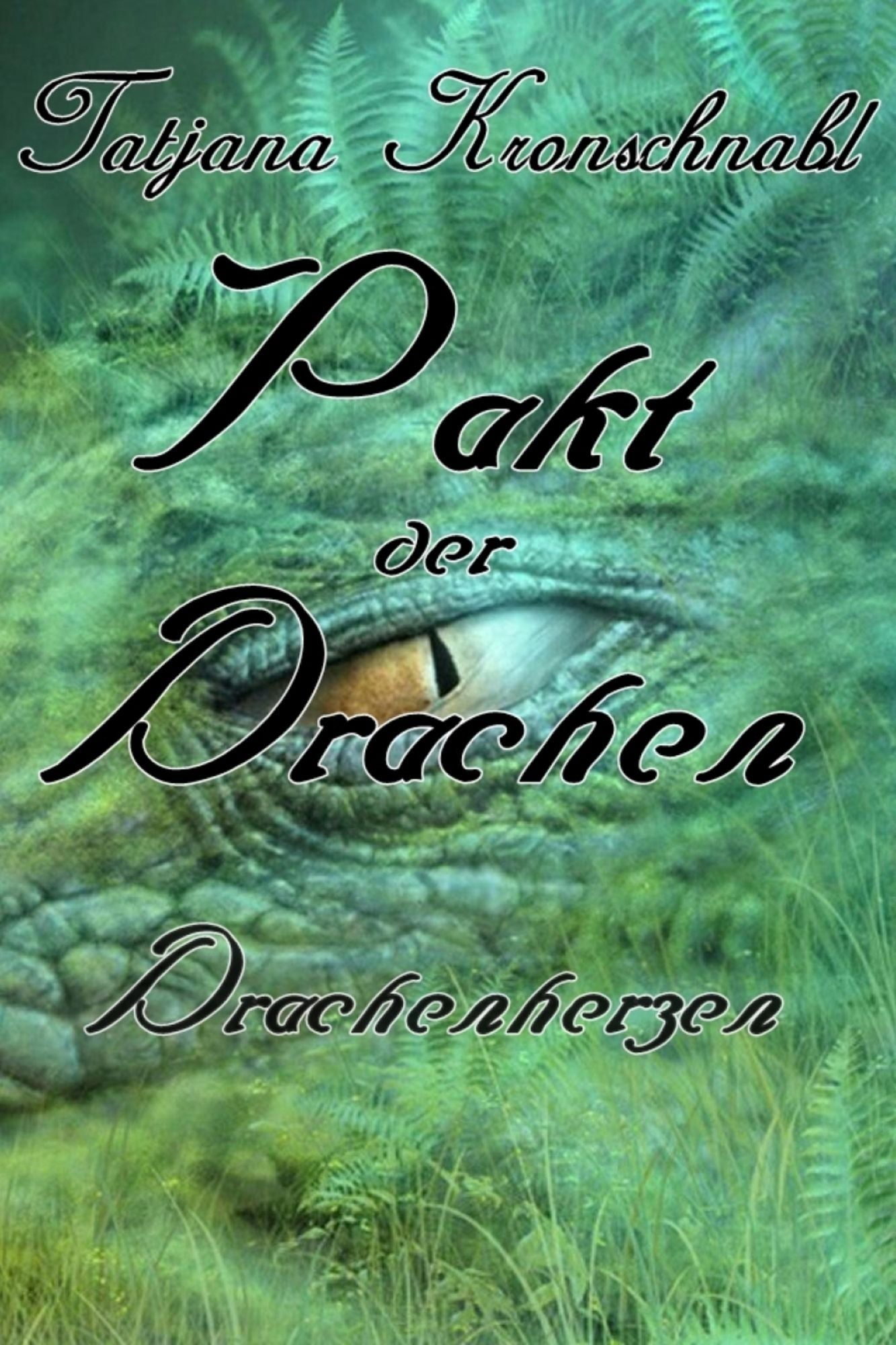 Pakt der Drachen 6: Drachenherzen