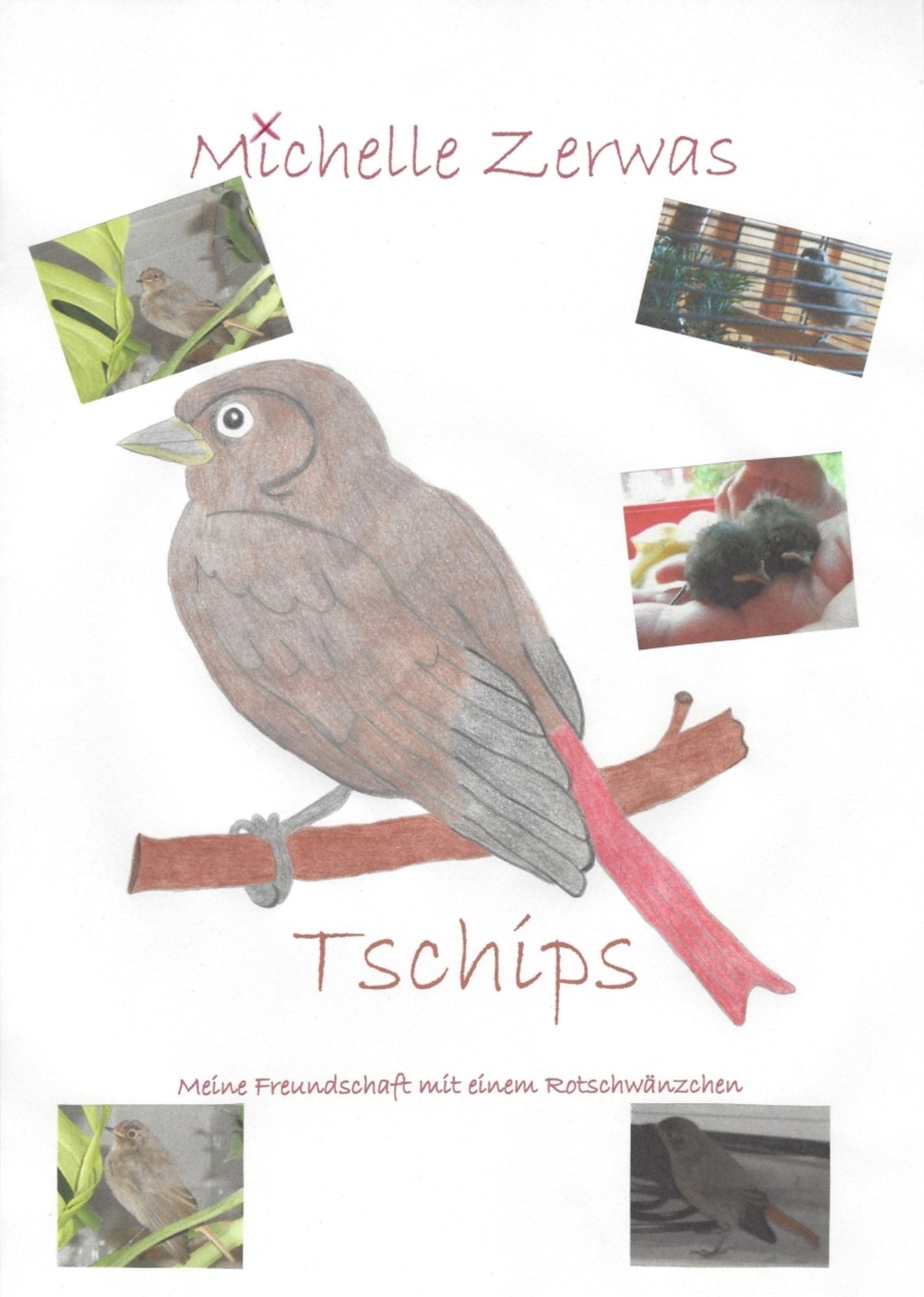 Tschips - Meine Freundschaft mit einem Rotschwänzchen
