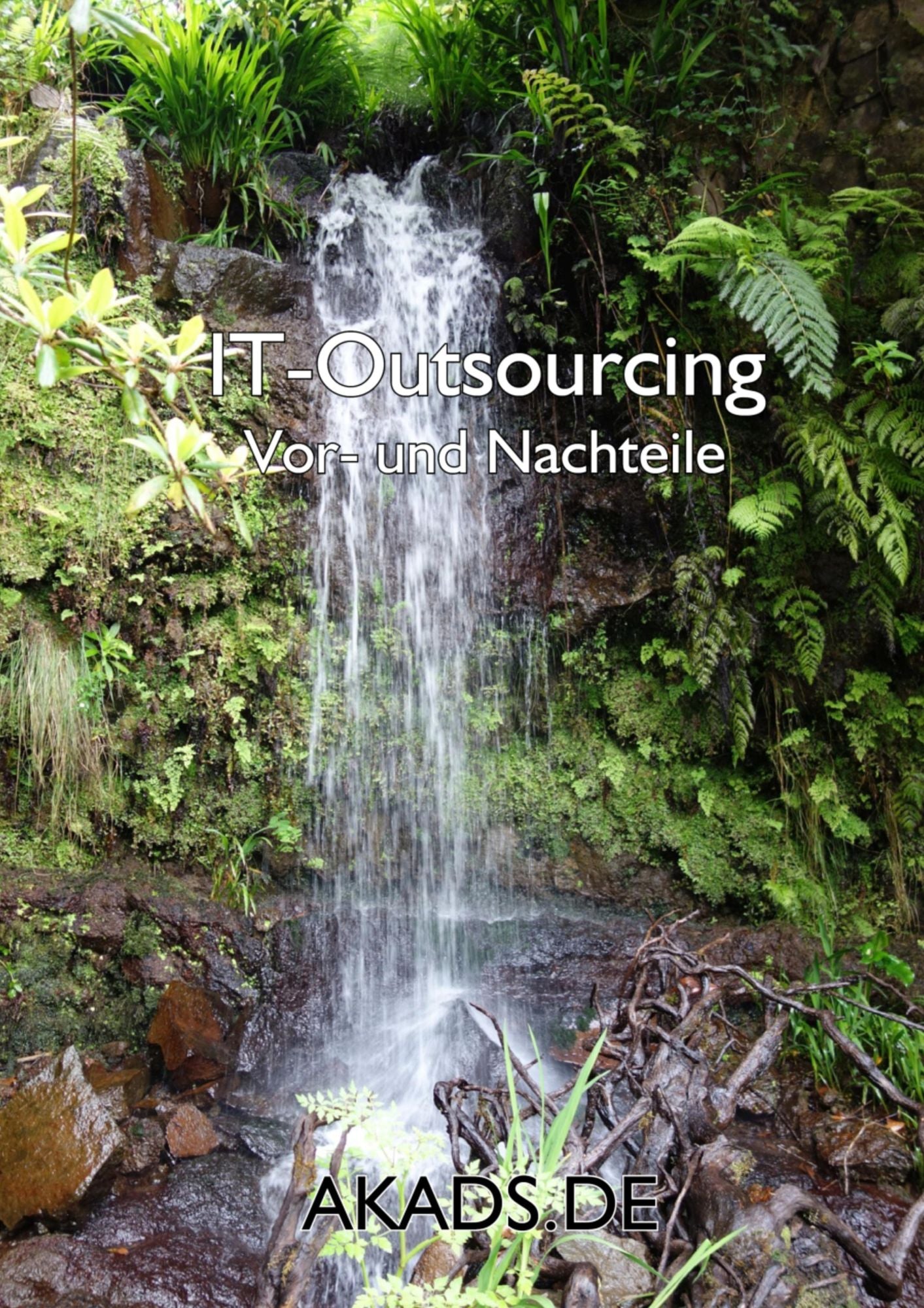IT-Outsourcing: Vor- und Nachteile