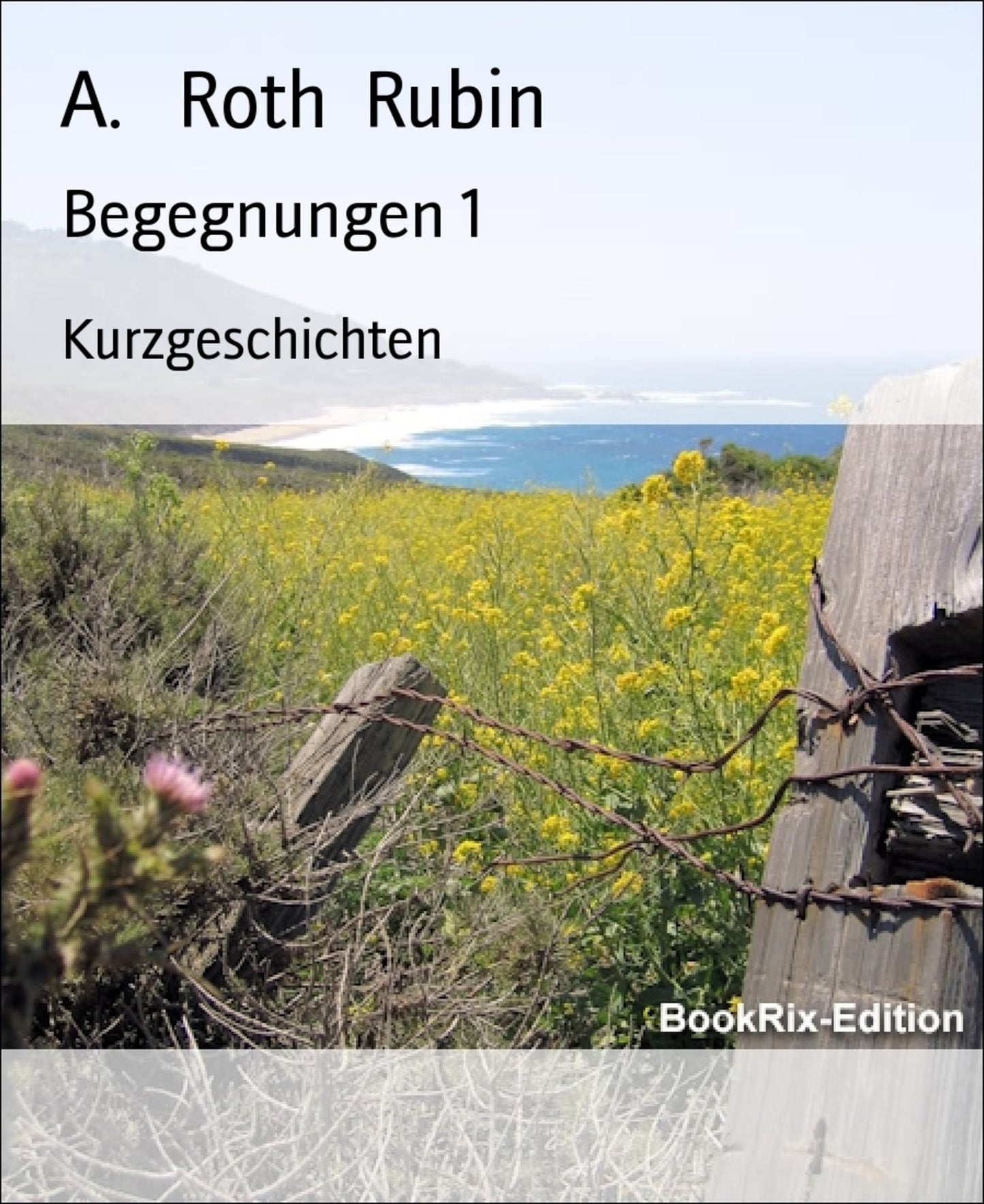 Begegnungen 1: Geschichte