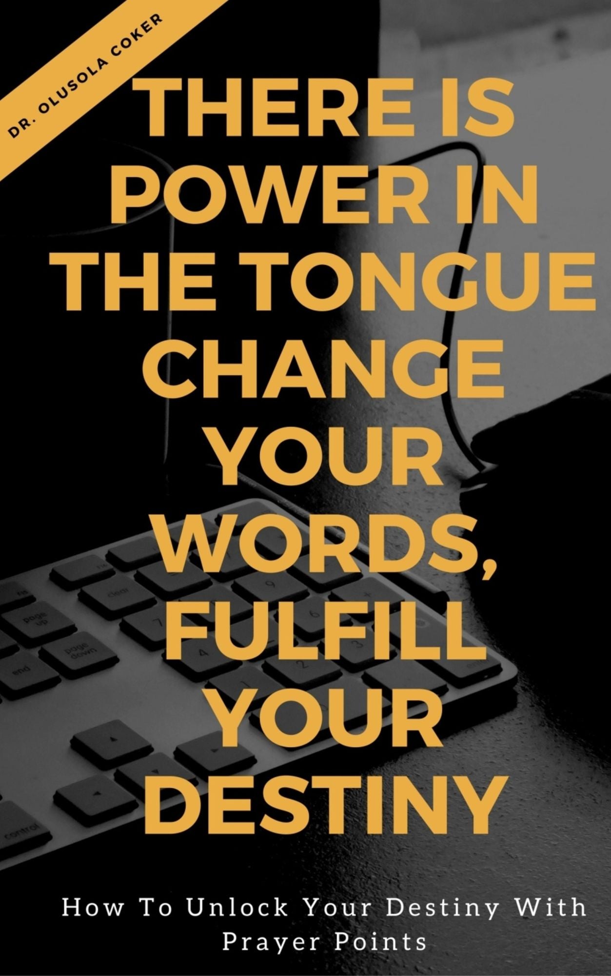 There is Power in the Tongue: Change Your Words, Fulfill Your Destiny:: How to Unlock your Destiny with Prayer points