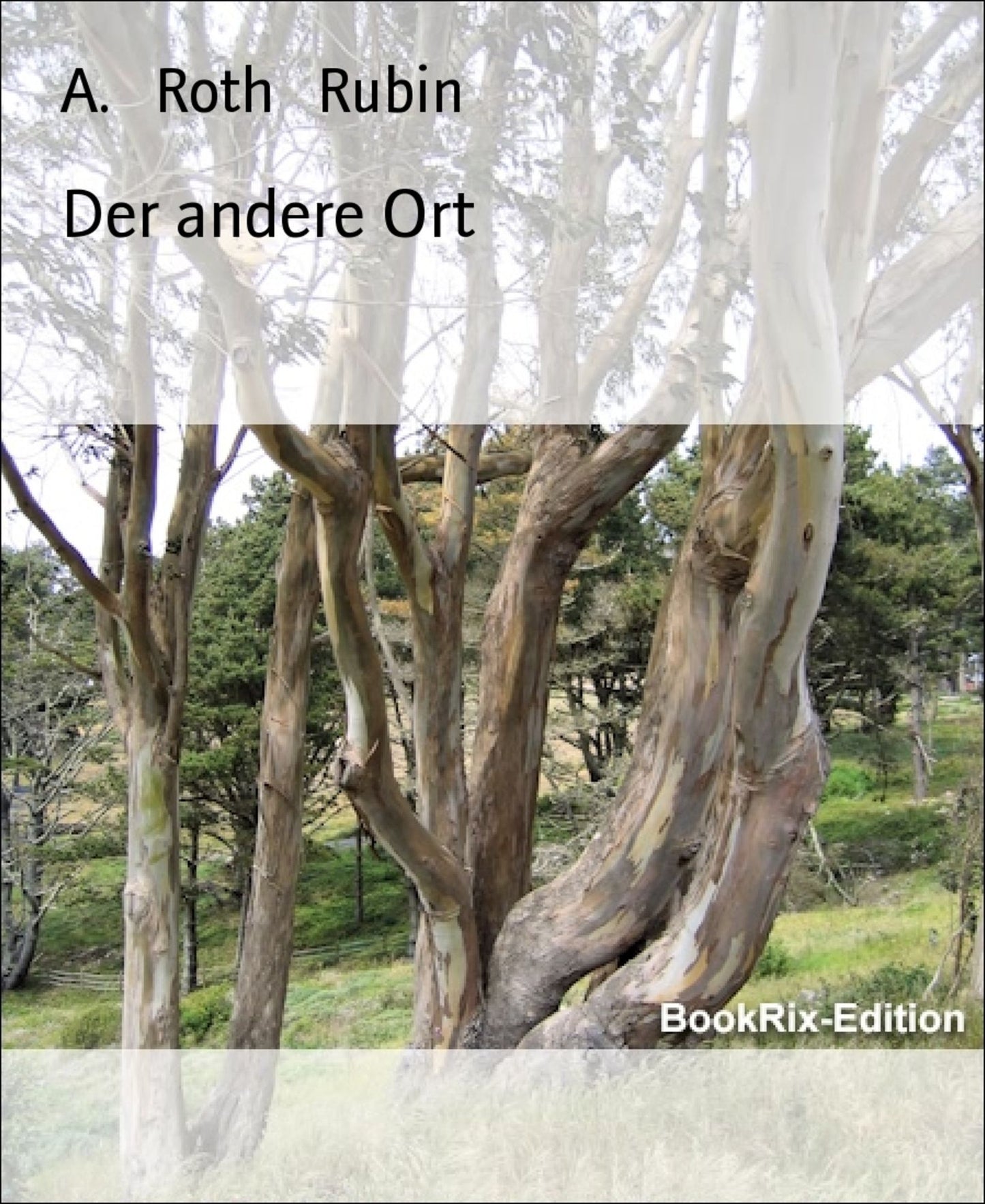 Im entfernten Ferien Camp: Reise ins Camp