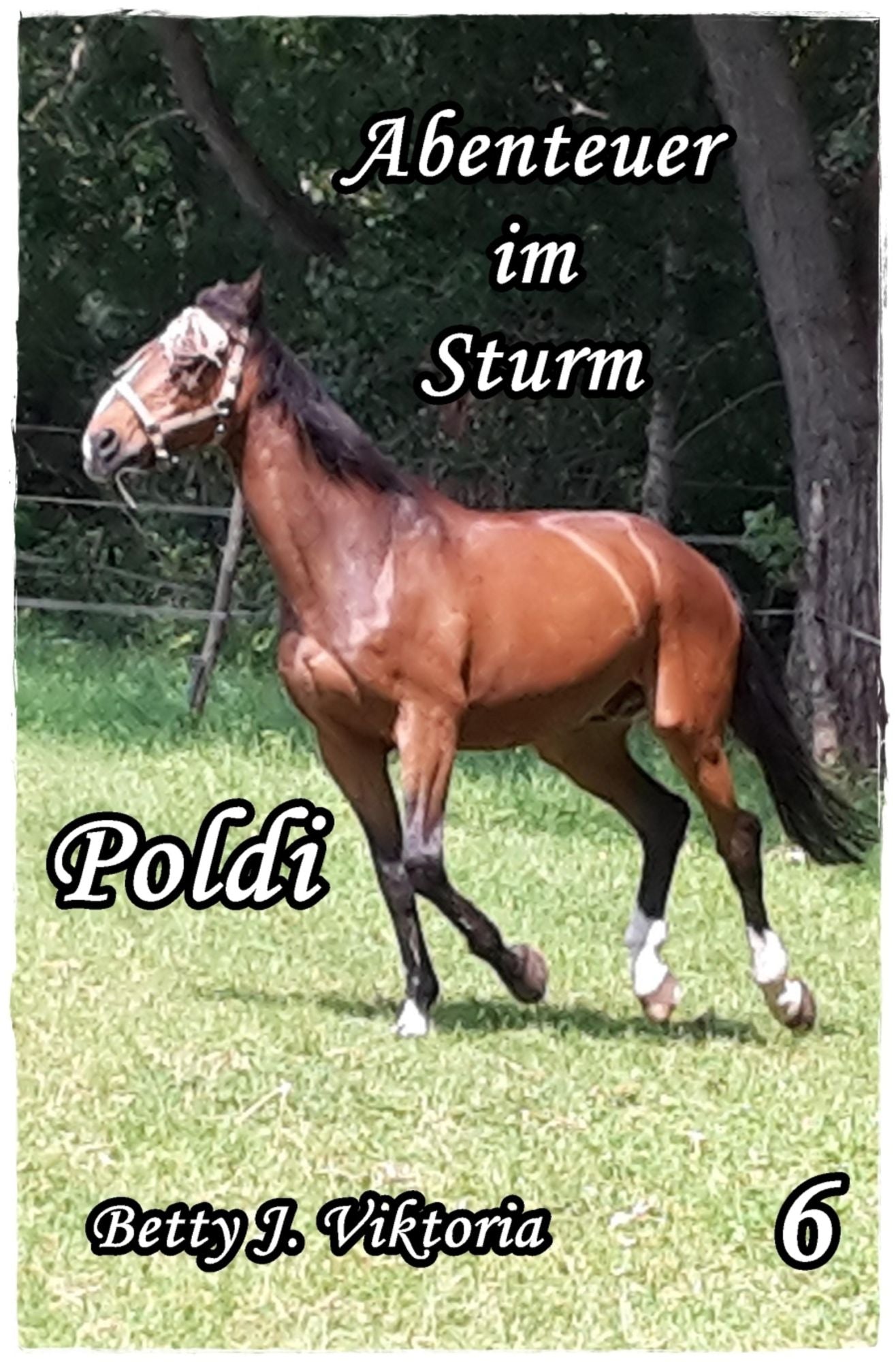 Poldi Band 6: Abenteuer im Sturm