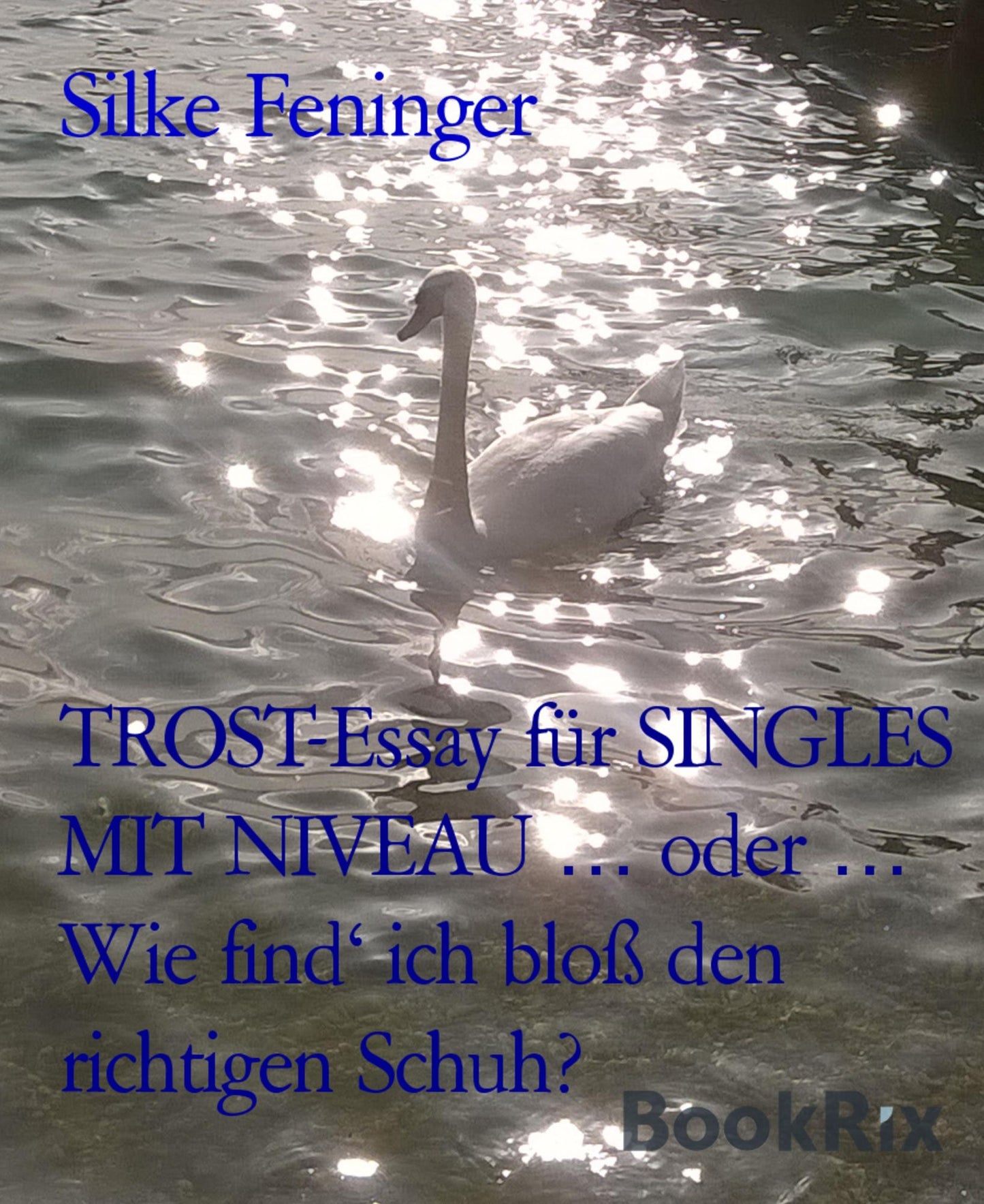 TROST-Essay für SINGLES MIT NIVEAU ... oder ... Wie find' ich bloß den richtigen Schuh?