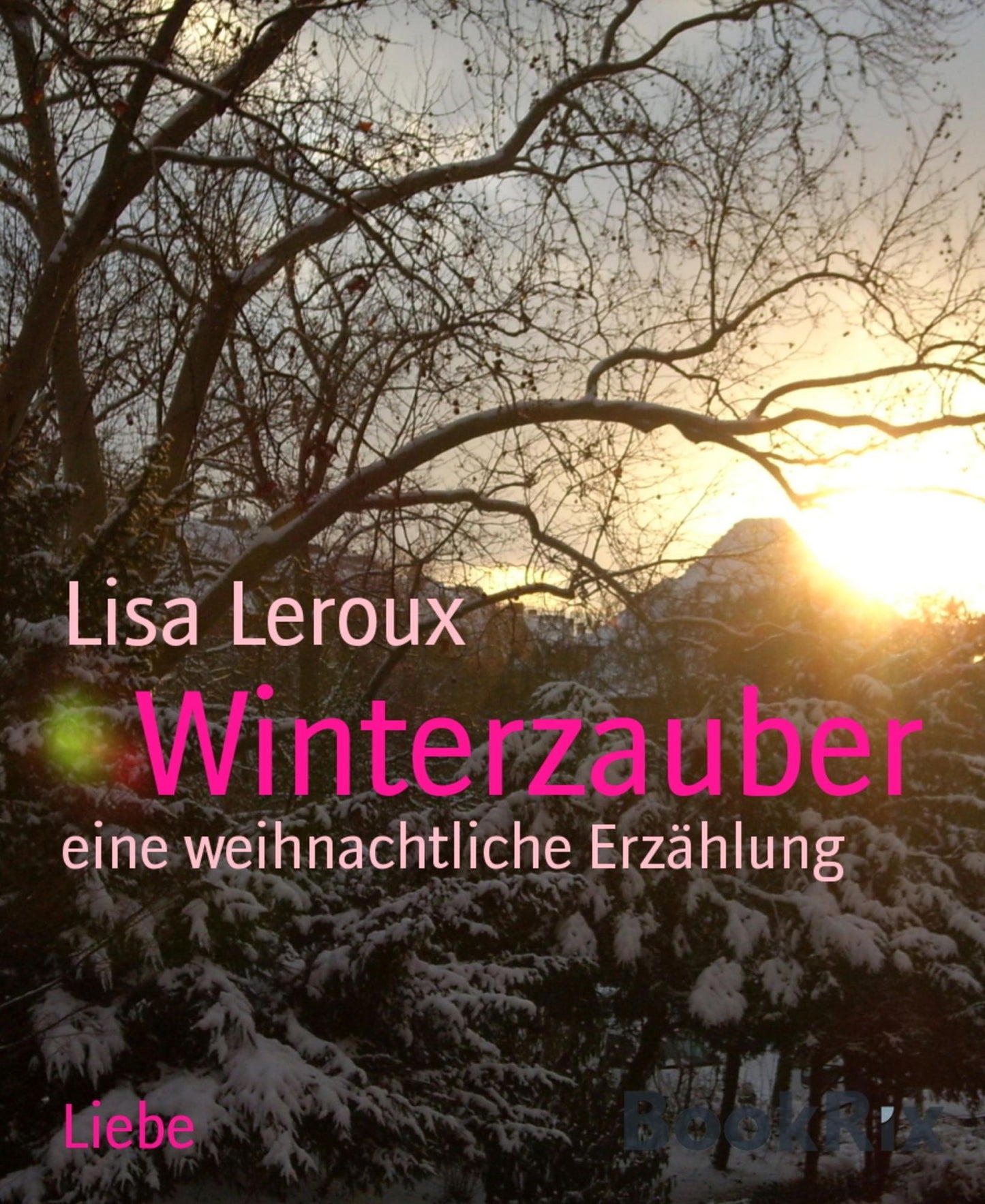 Winterzauber: eine weihnachtliche Erzählung