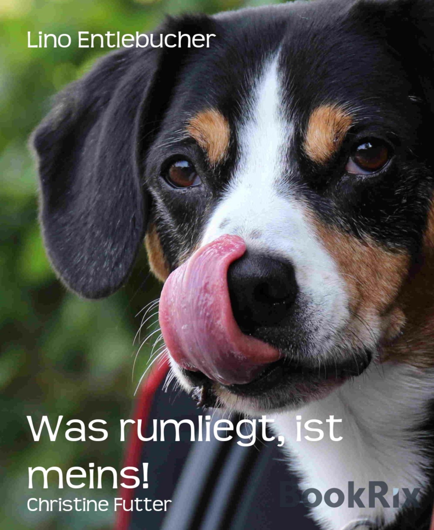 Lino Entlebucher - Was rumliegt, ist meins!