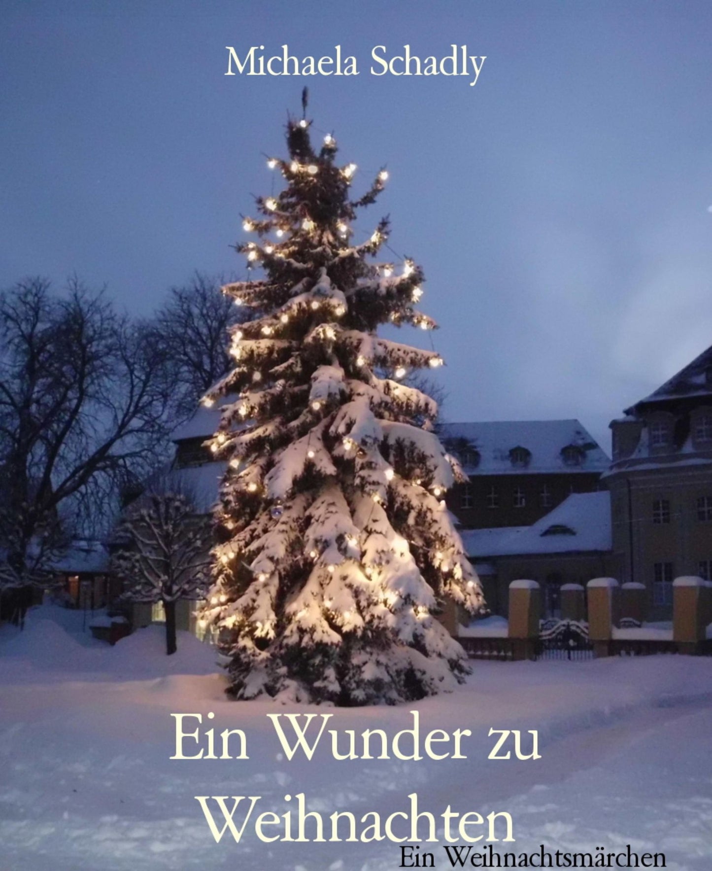 Ein Wunder zu Weihnachten: Ein Weihnachtsmärchen