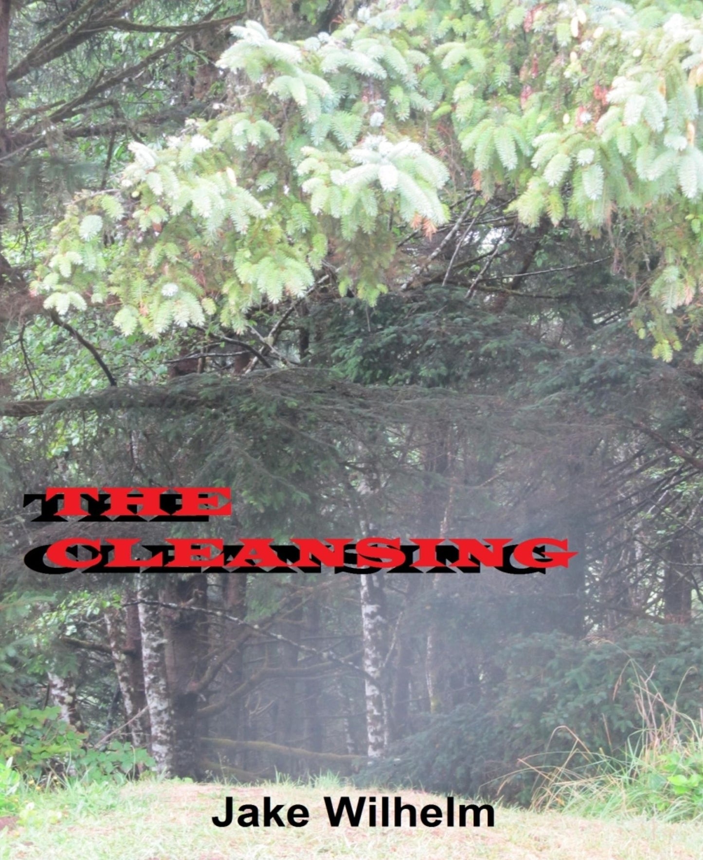 The Cleansing