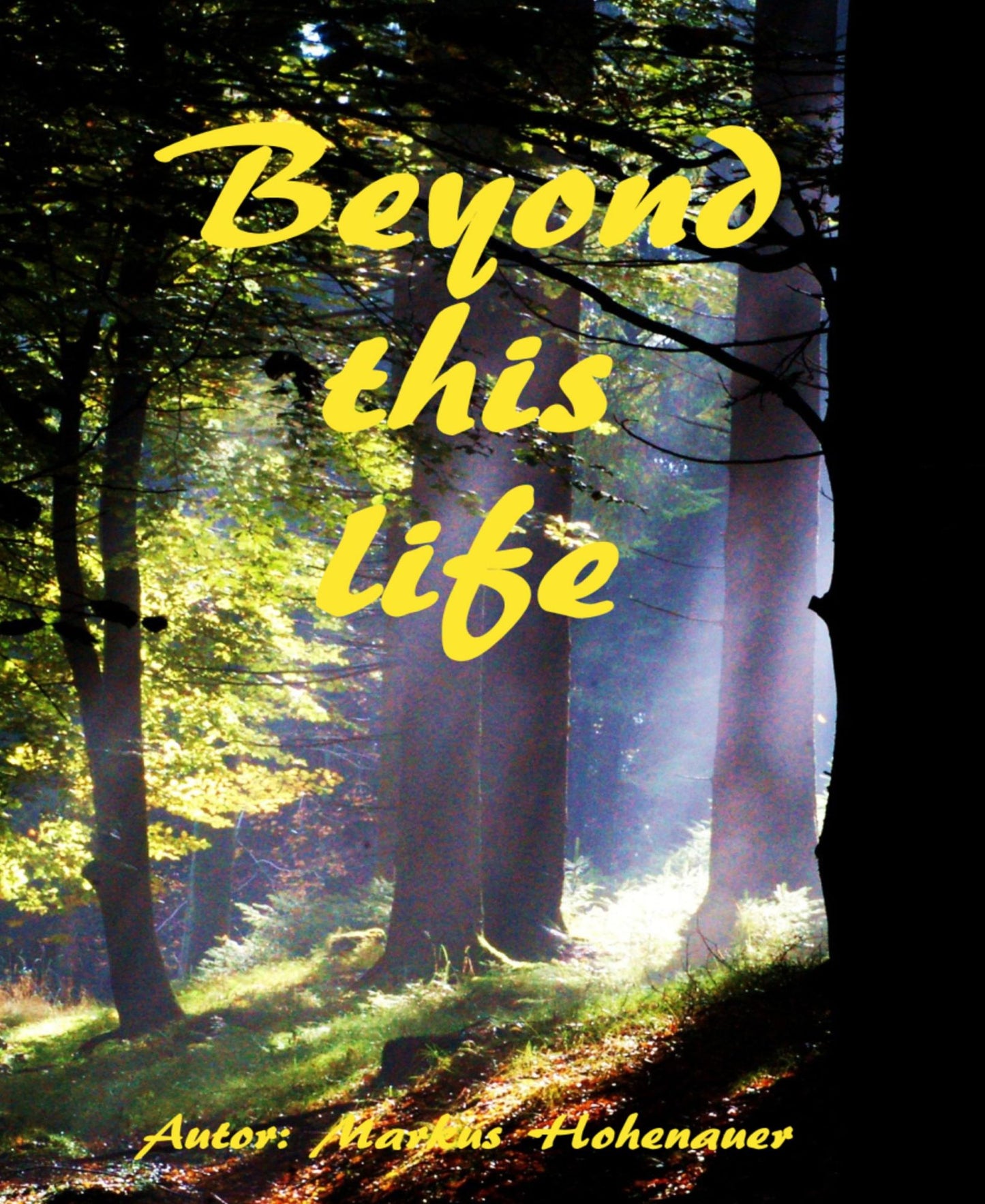 Beyond this life