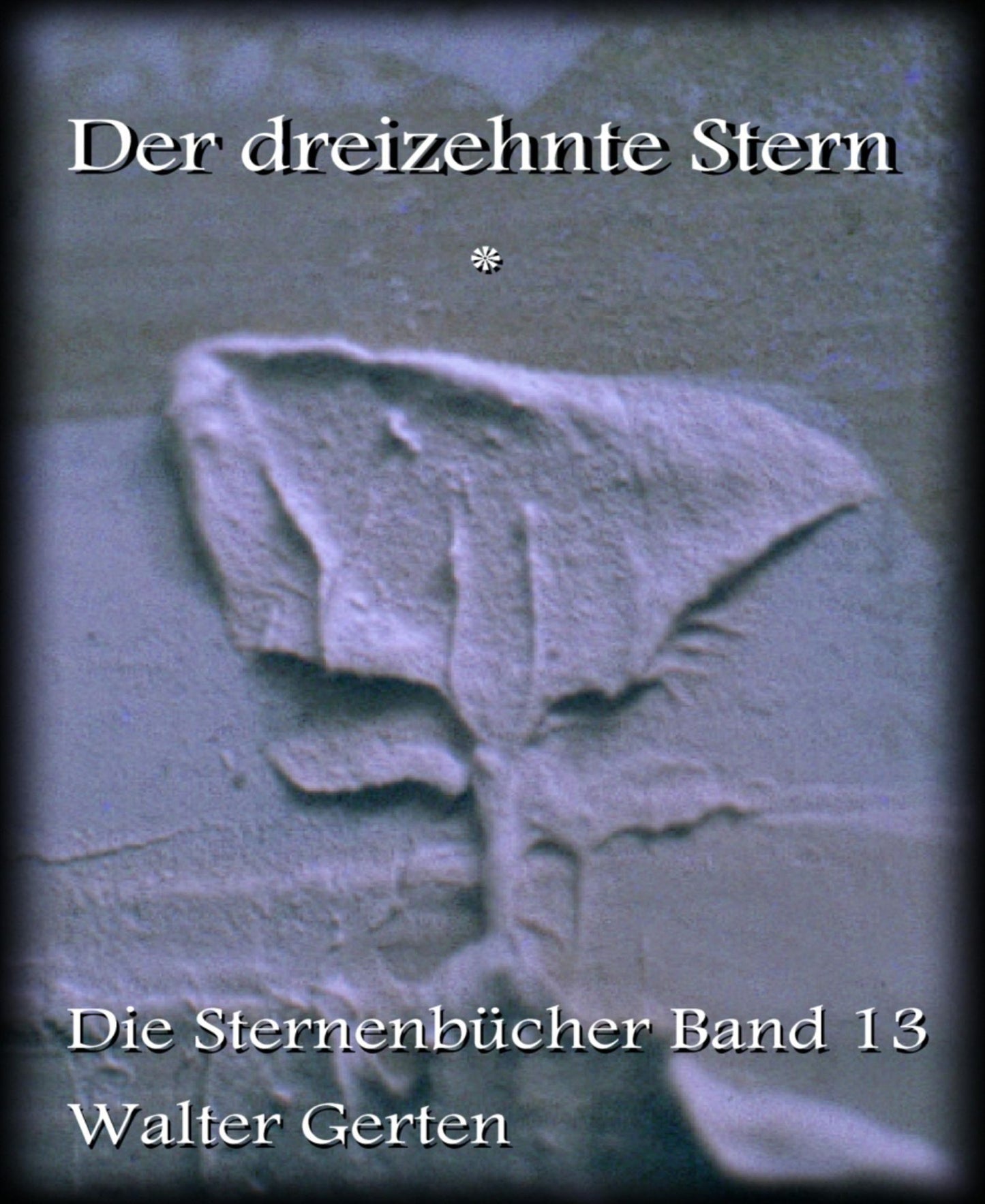 Der dreizehnte Stern: Band 13 der Reihe Die Sternenbücher
