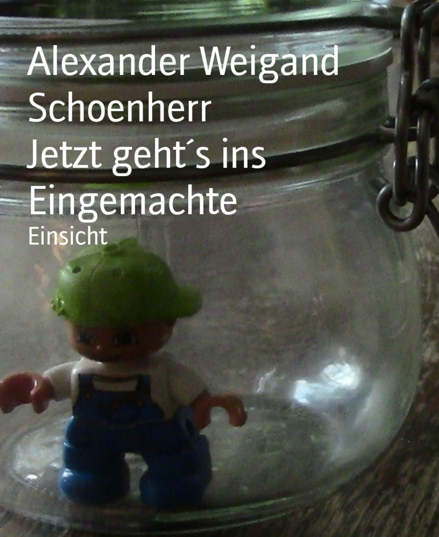 Jetzt geht's ins Eingemachte: Einsicht