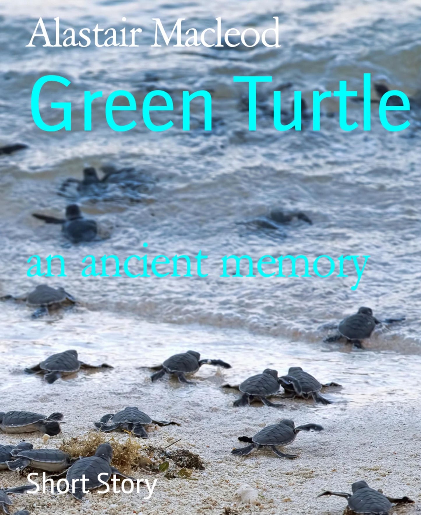 Green Turtle: an ancient memory