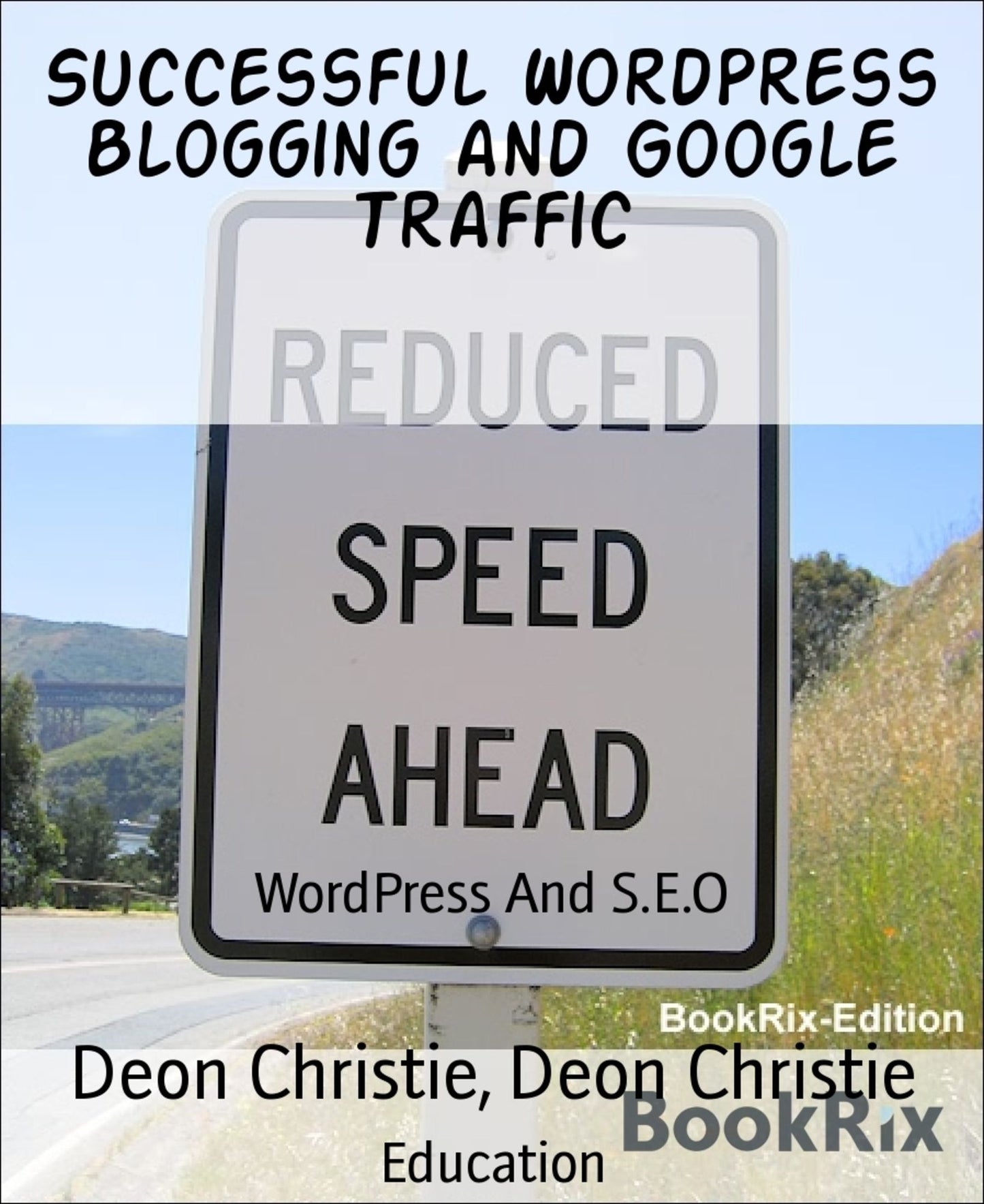 Successful WordPress Blogging and Google Traffic: WordPress And S.E.O