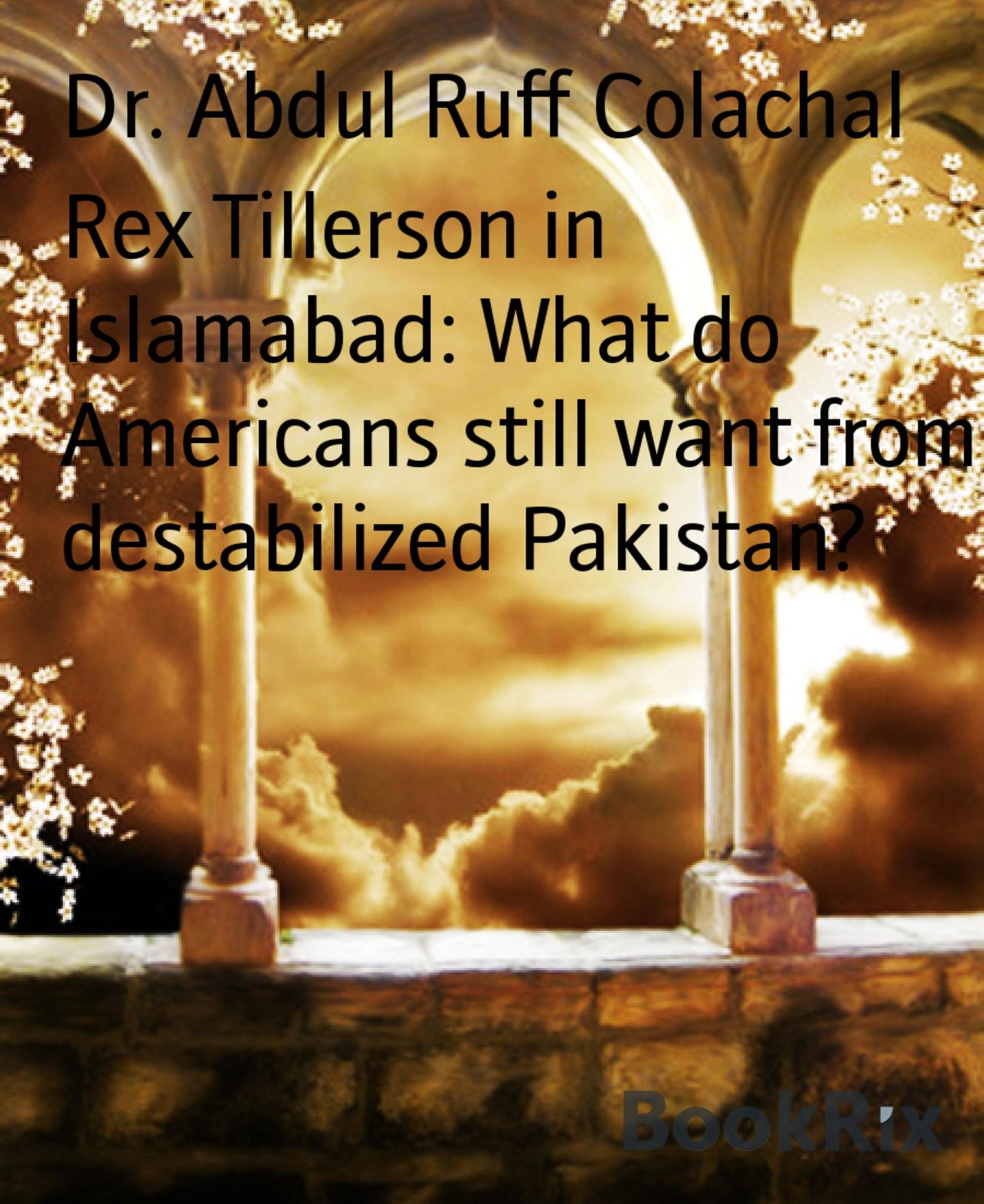 Rex Tillerson in Islamabad: What do Americans still want from destabilized Pakistan?: USA should let Pakistan decide its own course.