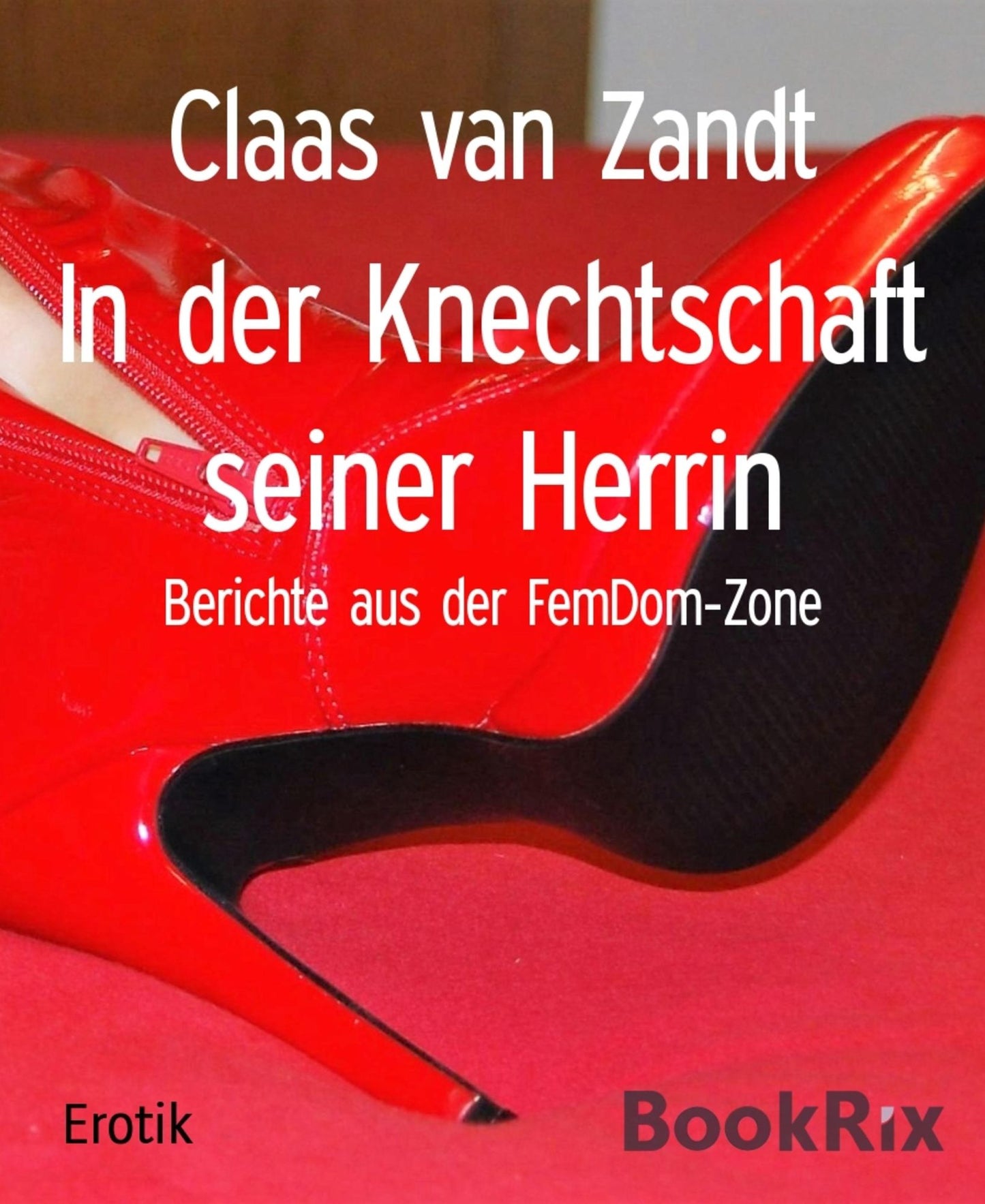 In der Knechtschaft seiner Herrin: Berichte aus der FemDom-Zone