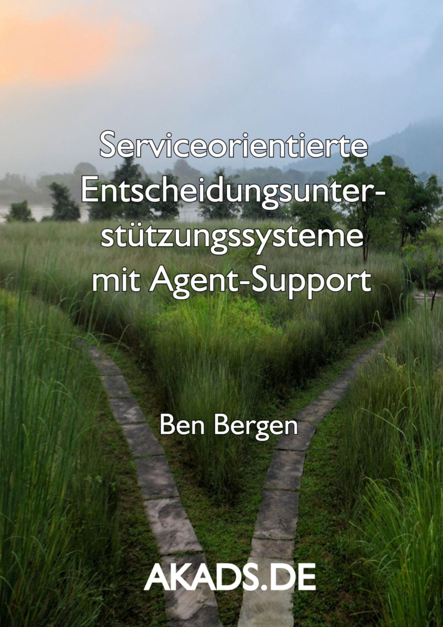 Serviceorientierte Entscheidungsunterstützungssysteme mit Agent-Support: Eine Publikation von AKADS - Ghostwriting Next Generation