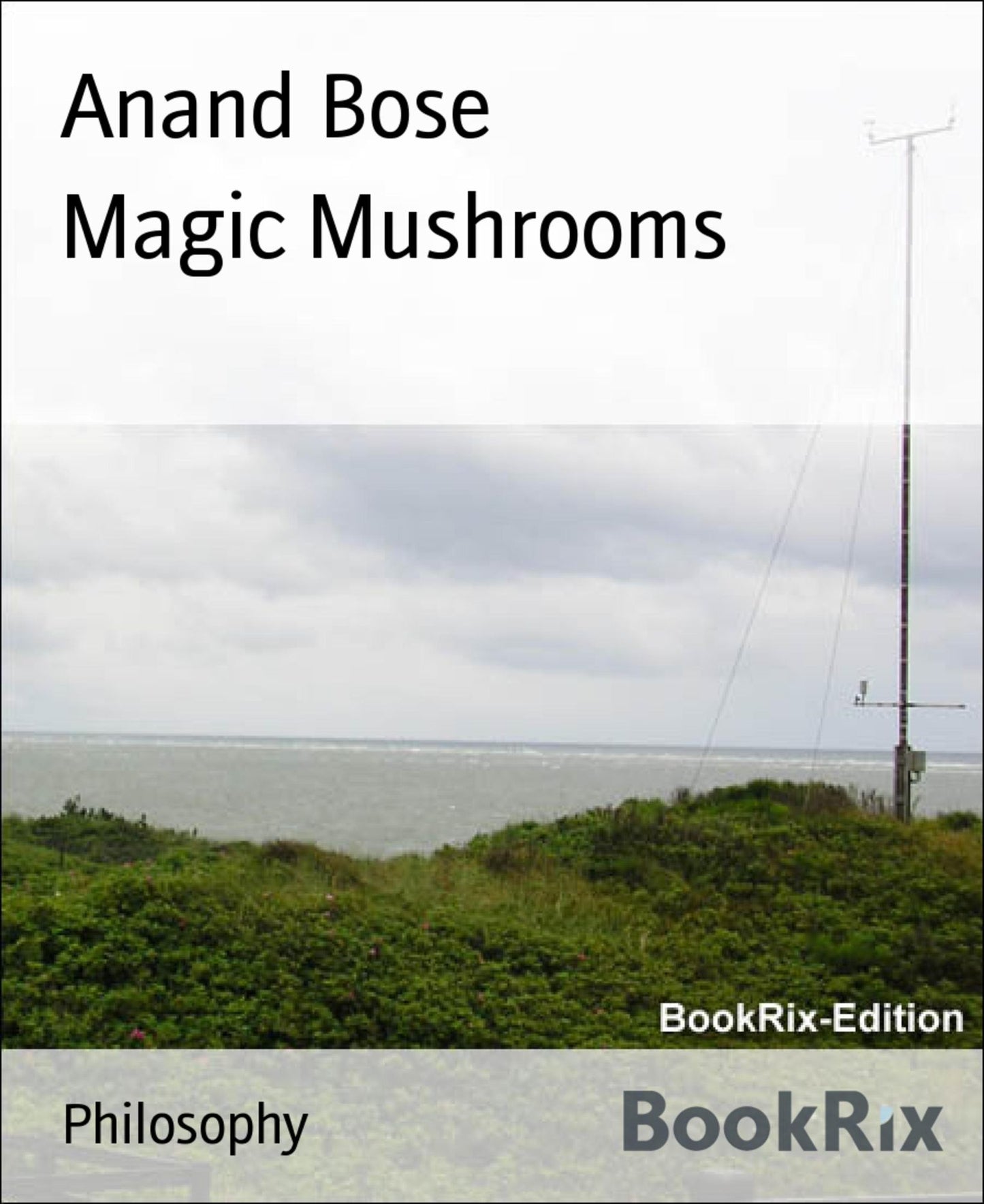 Magic Mushrooms