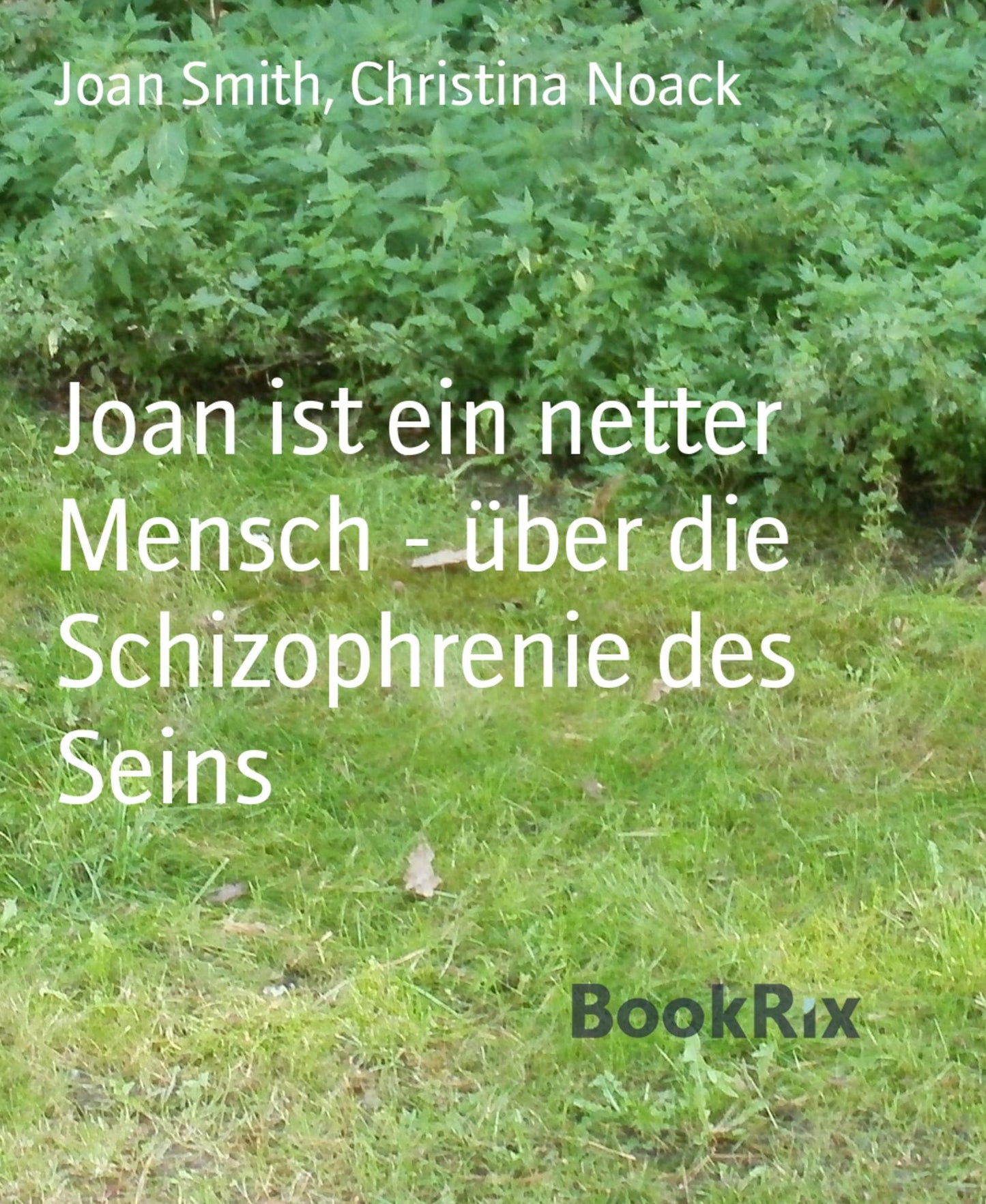 Ich glaube nur, was ich sehe, und ich sehe Gespenster: Eine Autobiografie unter der Schizophrenie mit religiös-philosophischen Ideen