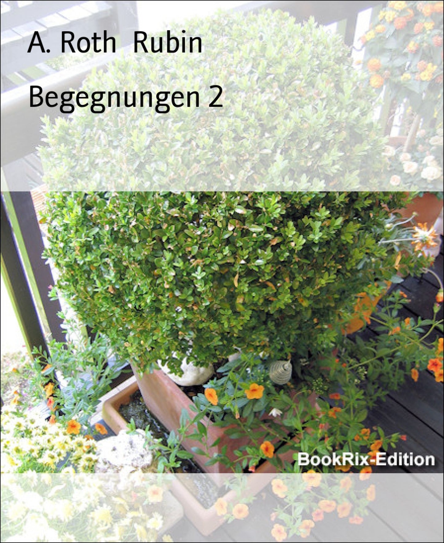 Begegnungen 2: Reise nach A.