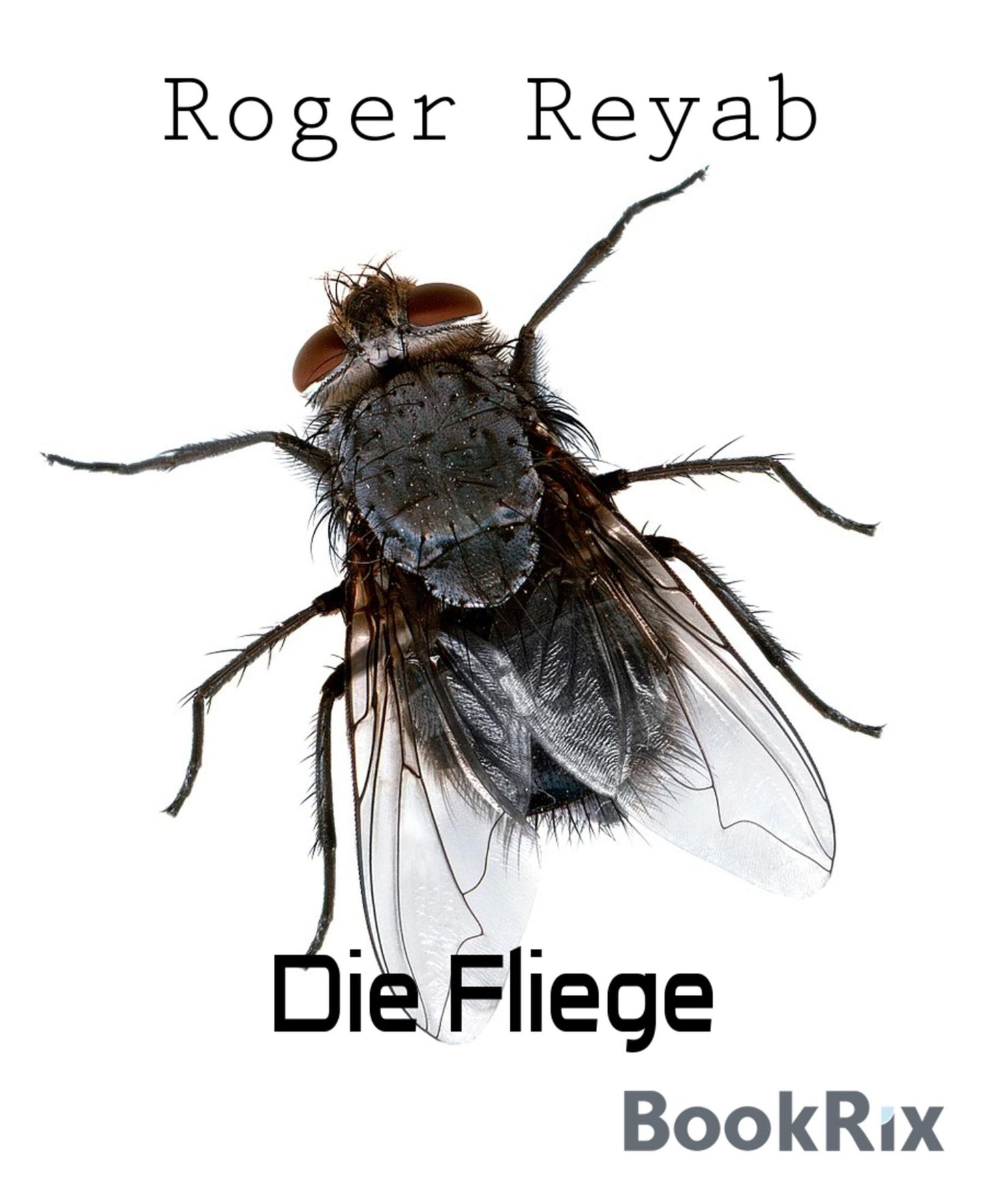 Die Fliege