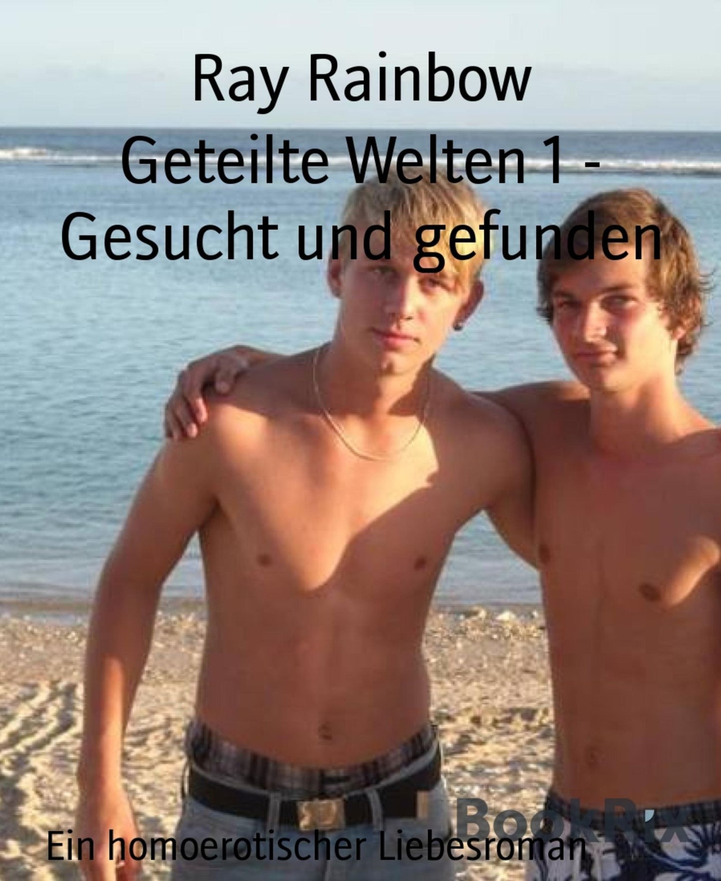 Geteilte Welten 1 - Gesucht und gefunden: Ein homoerotischer Liebesroman