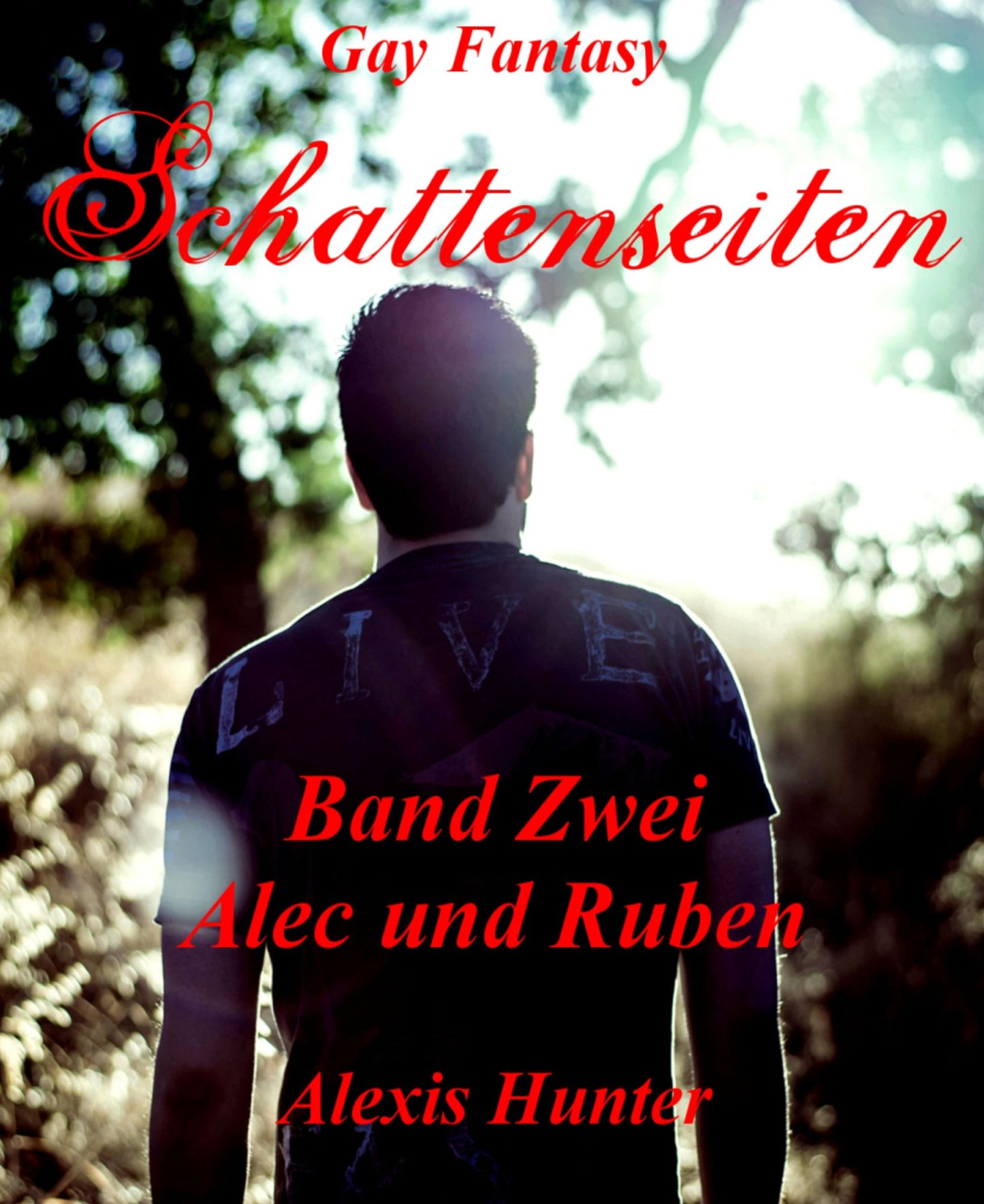 Schattenseiten Band Zwei Alec & Ruben: Gay Fantasy