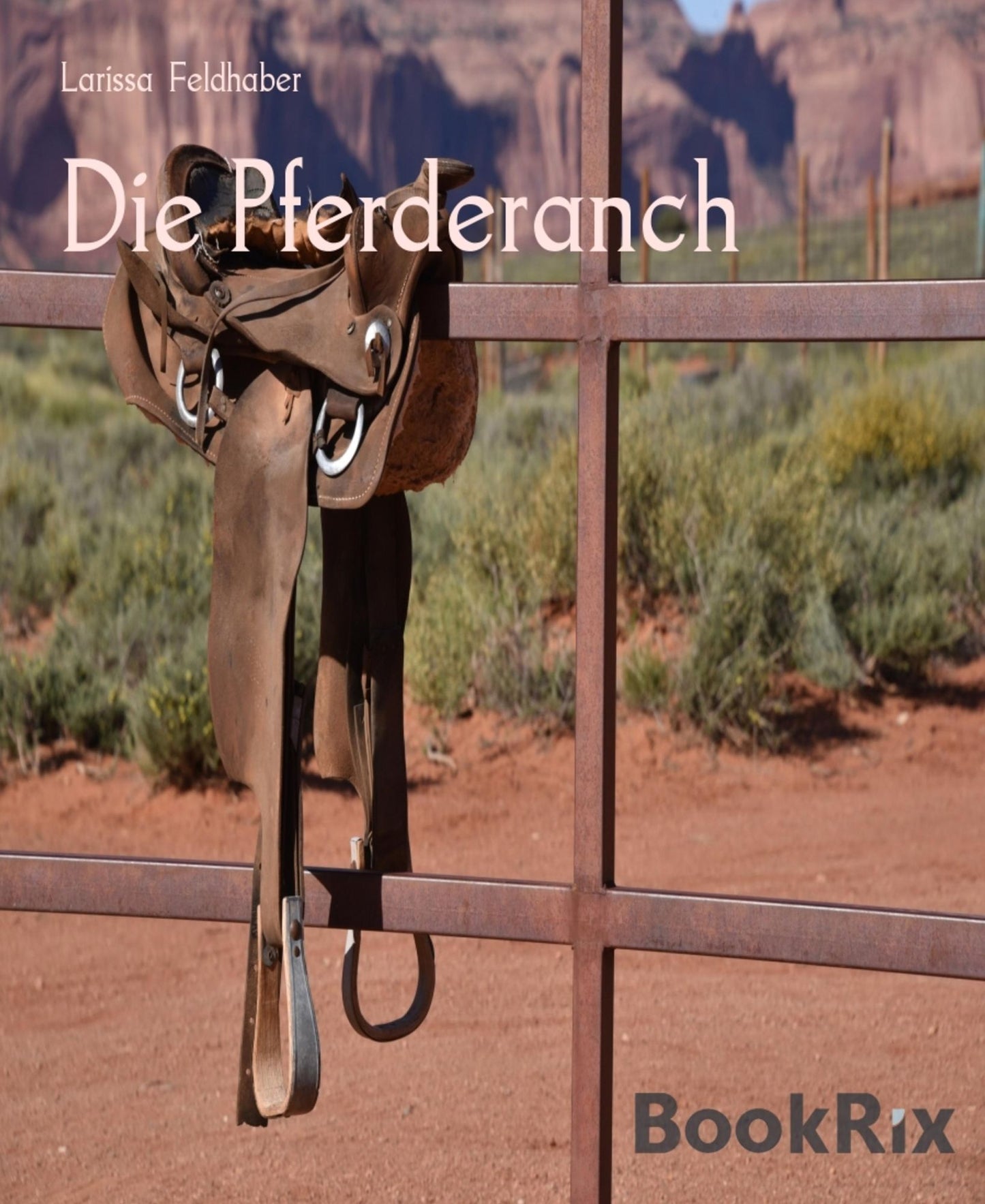 Die Cowboys: Weihnachtsedition