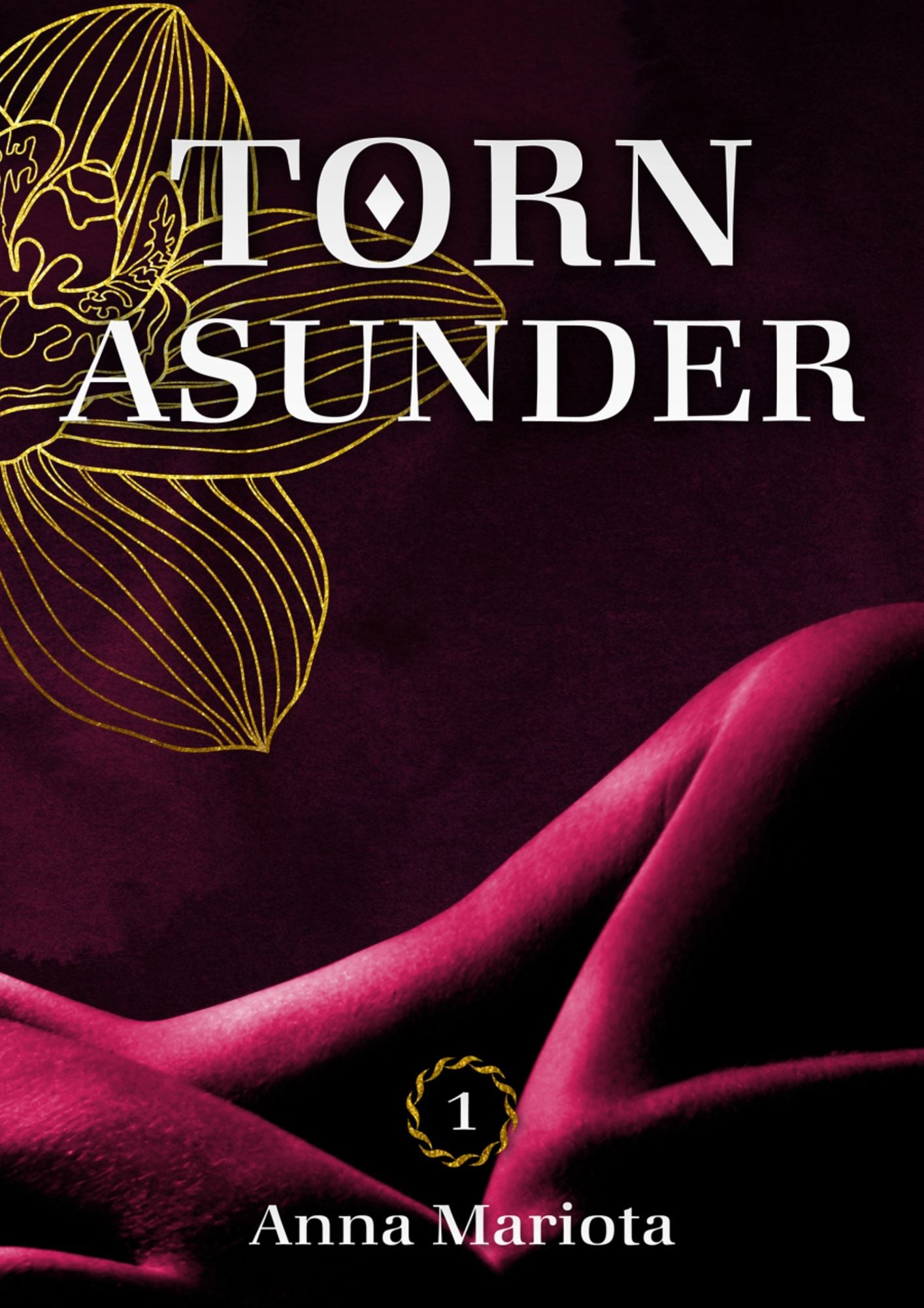 Torn Asunder 1: Das Mädchen von der Straße (Bestseller Liebesroman)