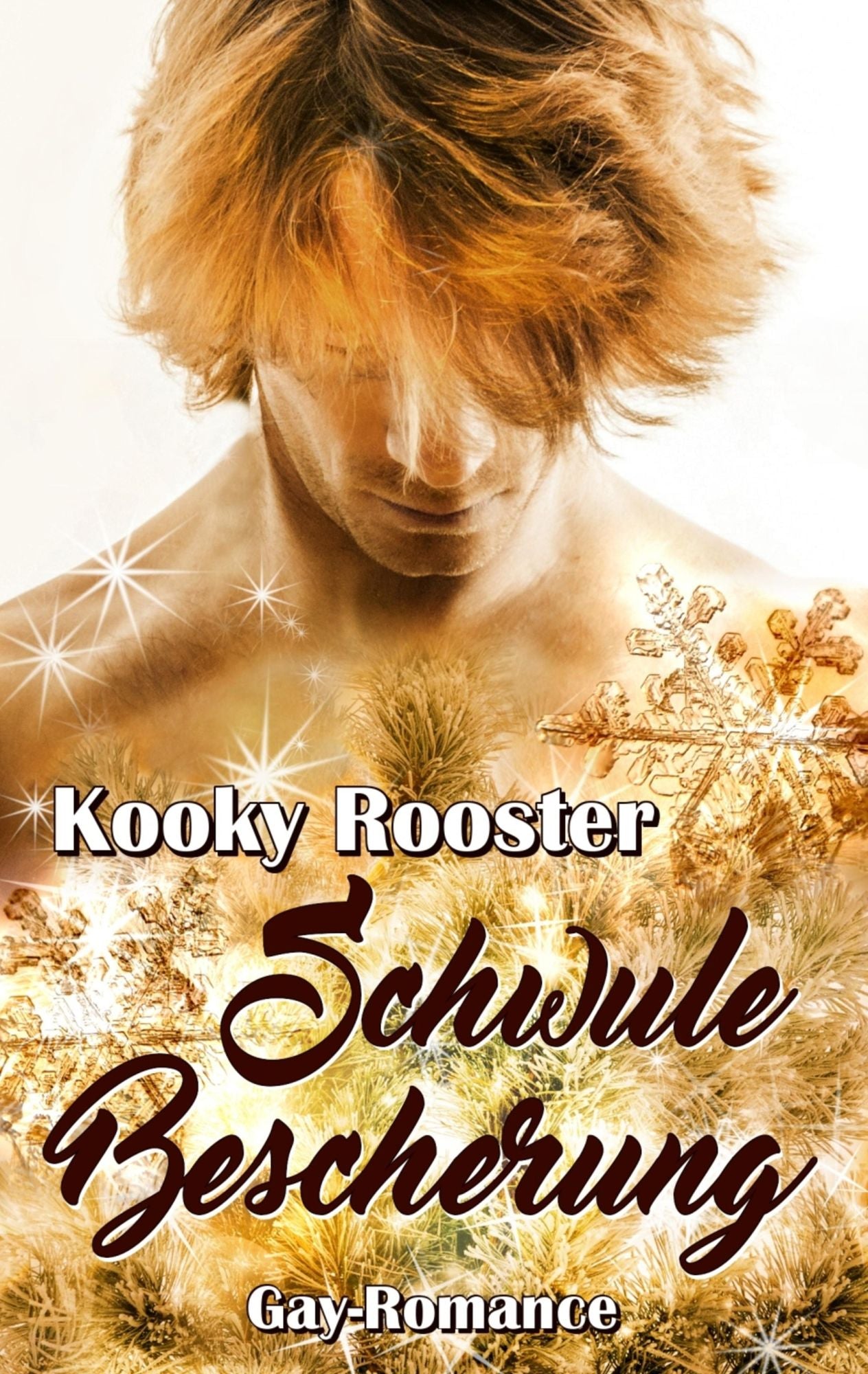 Schwule Bescherung: Gay-Romance