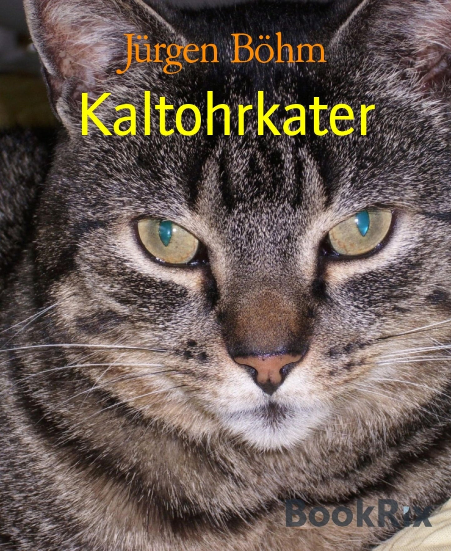 Kaltohrkater: Die Geschichten unserer Katzen