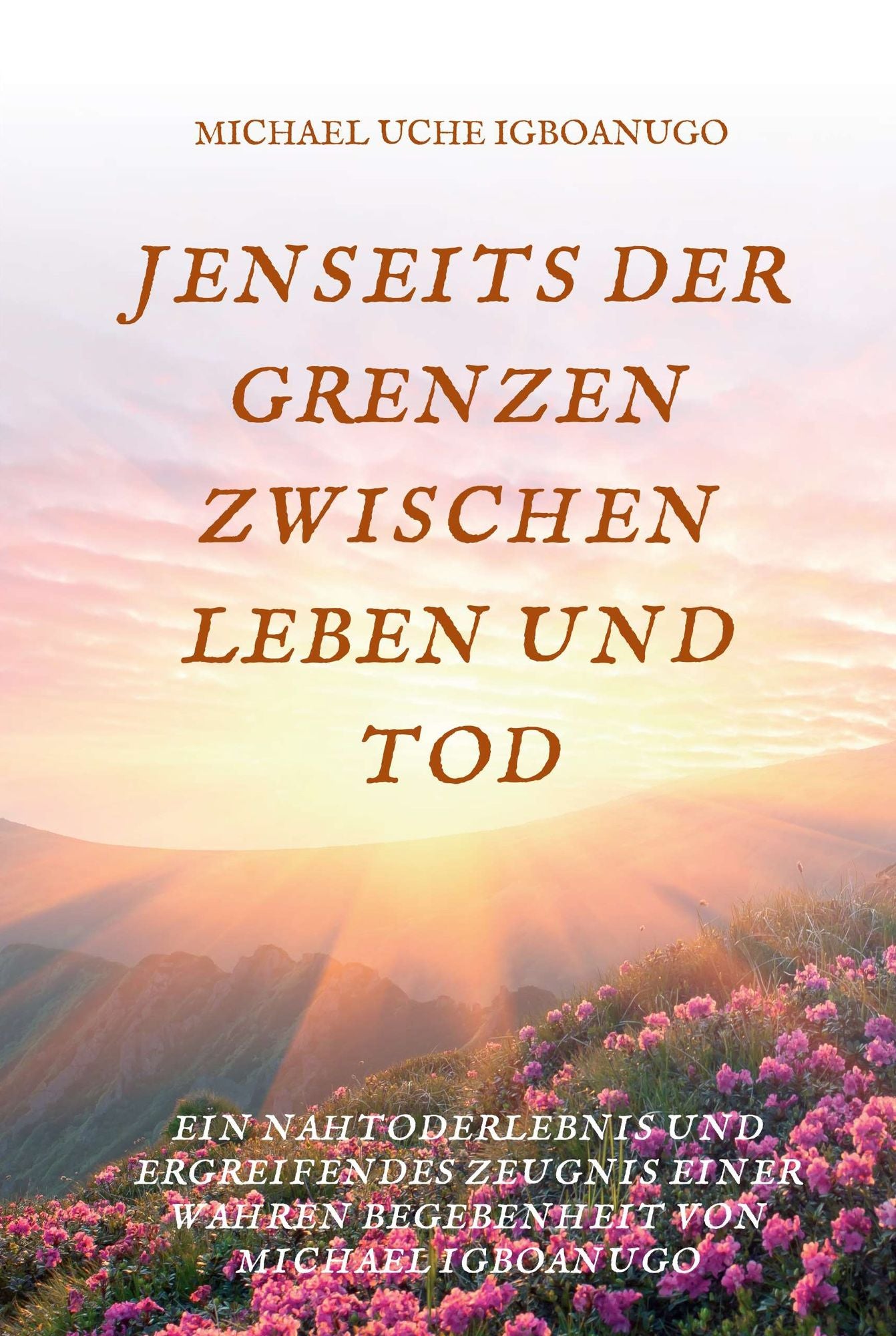 JENSEITS DER GRENZEN ZWISCHEN LEBEN UND TOD: EIN NAHTODERLEBNIS UND ERGREIFENDES ZEUGNIS EINER WAHREN BEGEBENHEIT VON MICHAEL IGBOANUGO