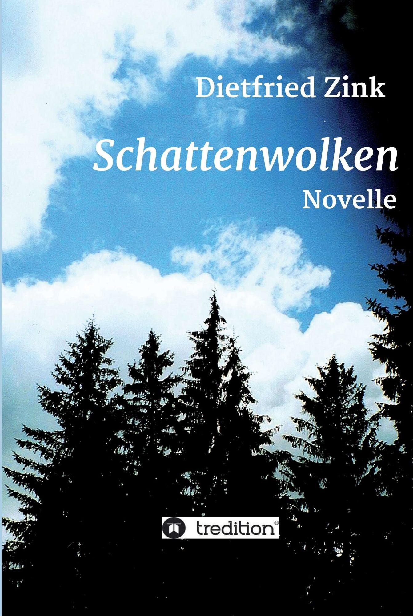 Schattenwolken: Novelle