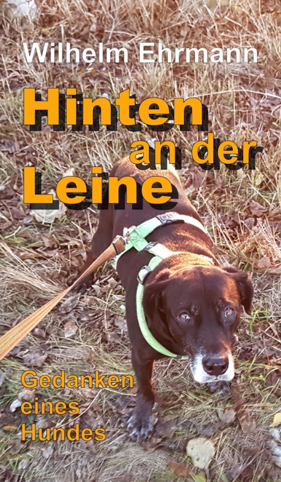 Hinten an der Leine: Gedanken eines Hundes