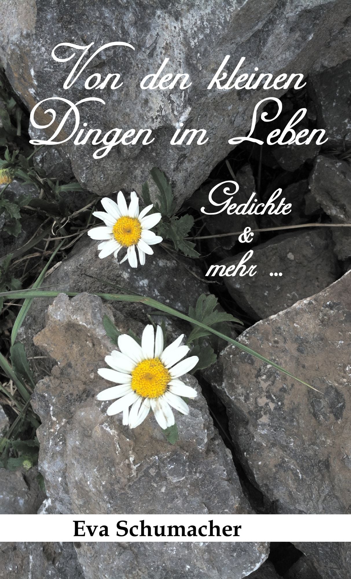 Von den kleinen Dingen im Leben: Gedichte & mehr ...