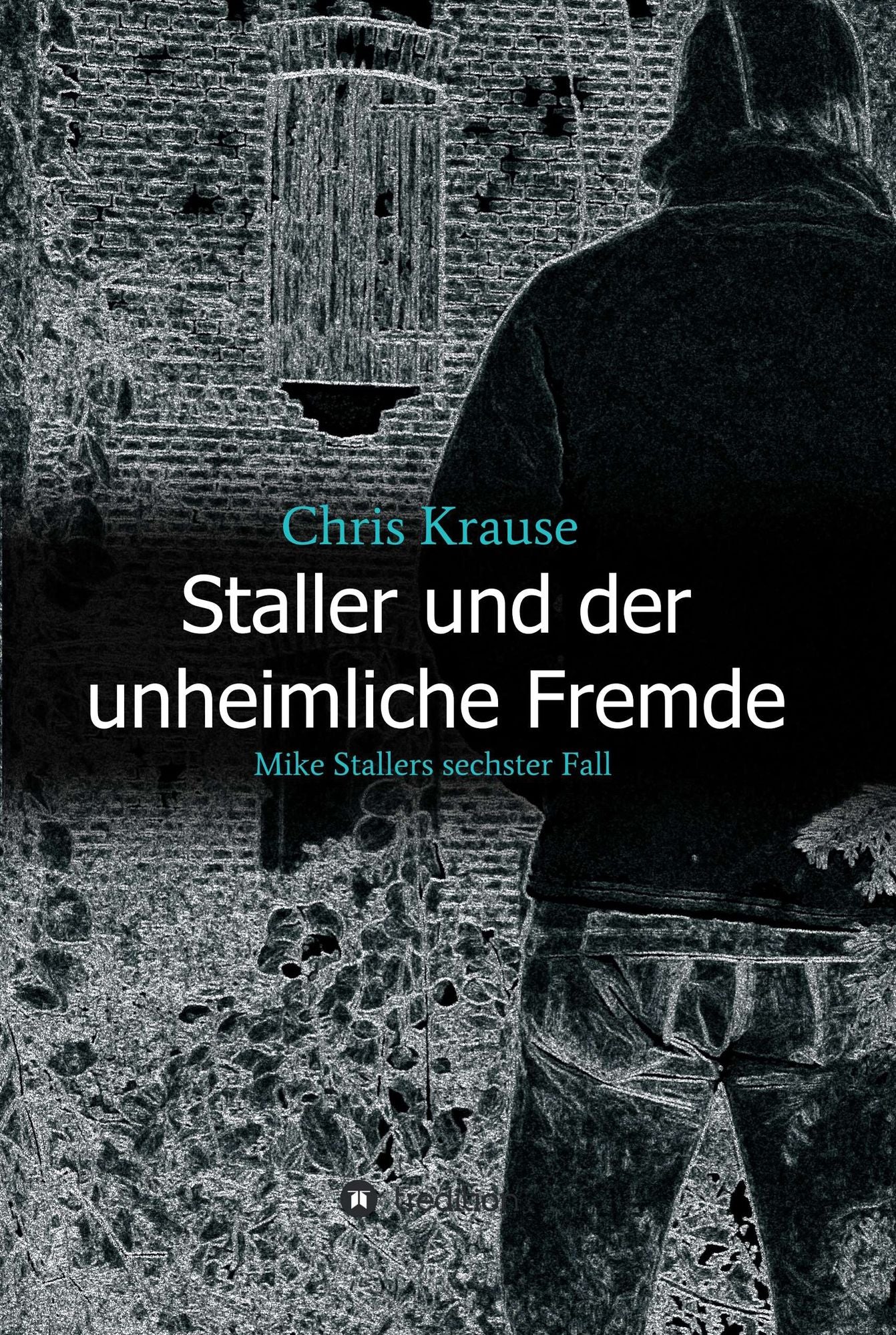 Staller und der unheimliche Fremde: Mike Stallers sechster Fall