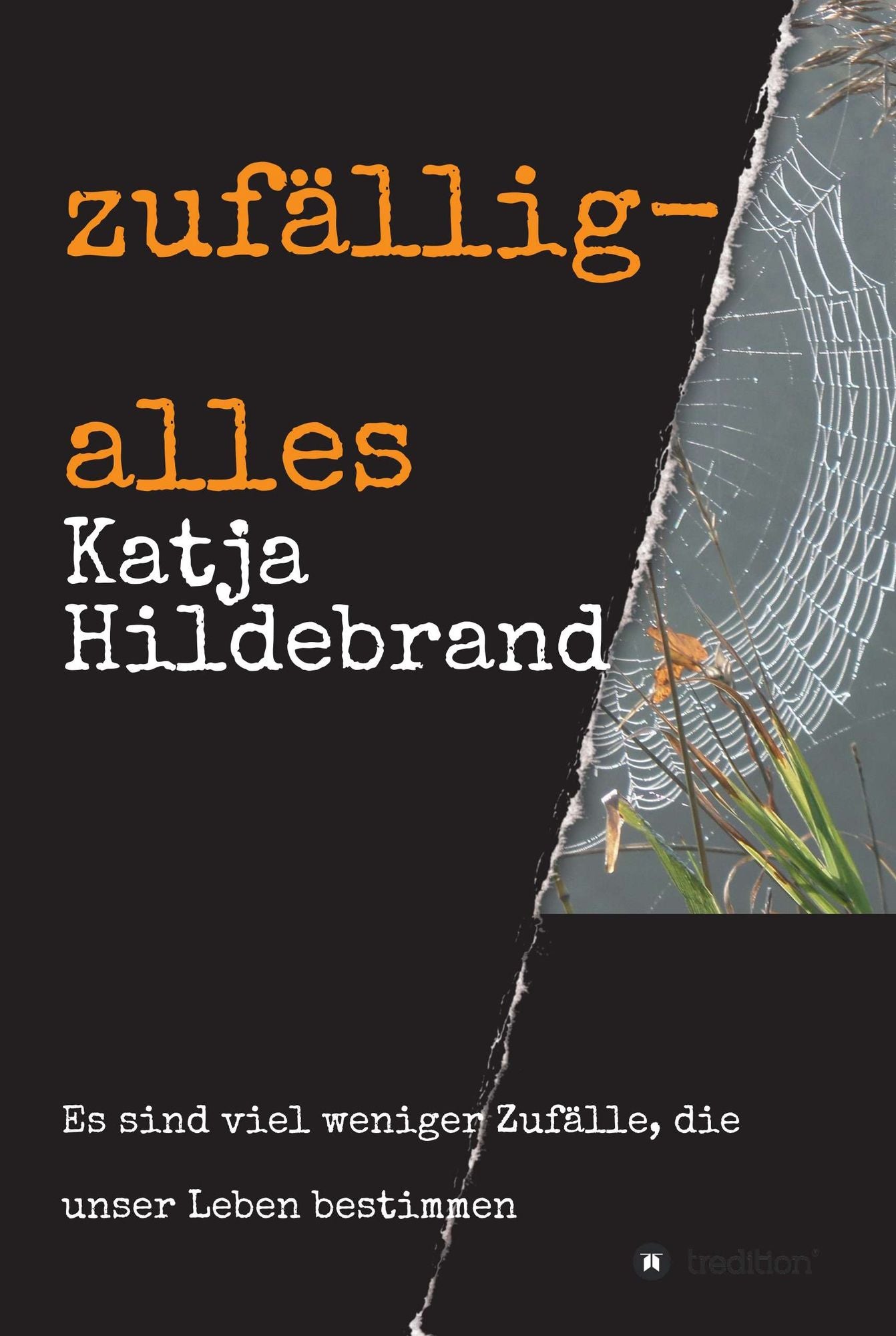zufällig-alles: es sind viel weniger Zufälle, die unser Leben bestimmen...