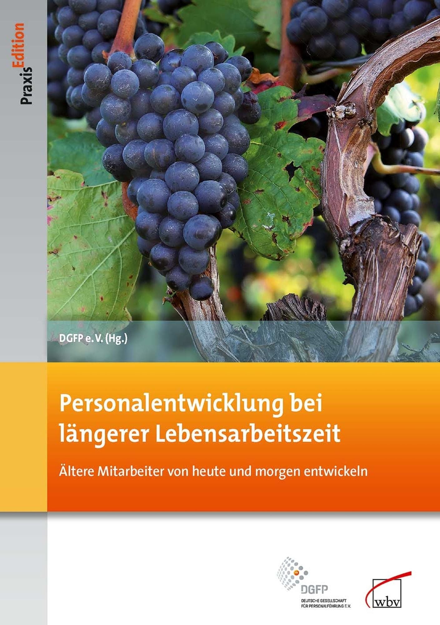 Personalentwicklung bei längerer Lebensarbeitszeit: Ältere Mitarbeiter von heute und morgen entwickeln