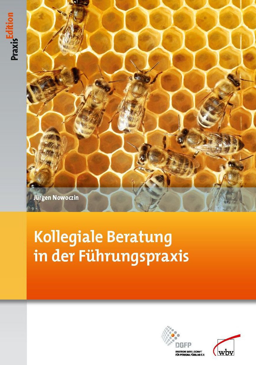 Kollegiale Beratung in der Führungspraxis